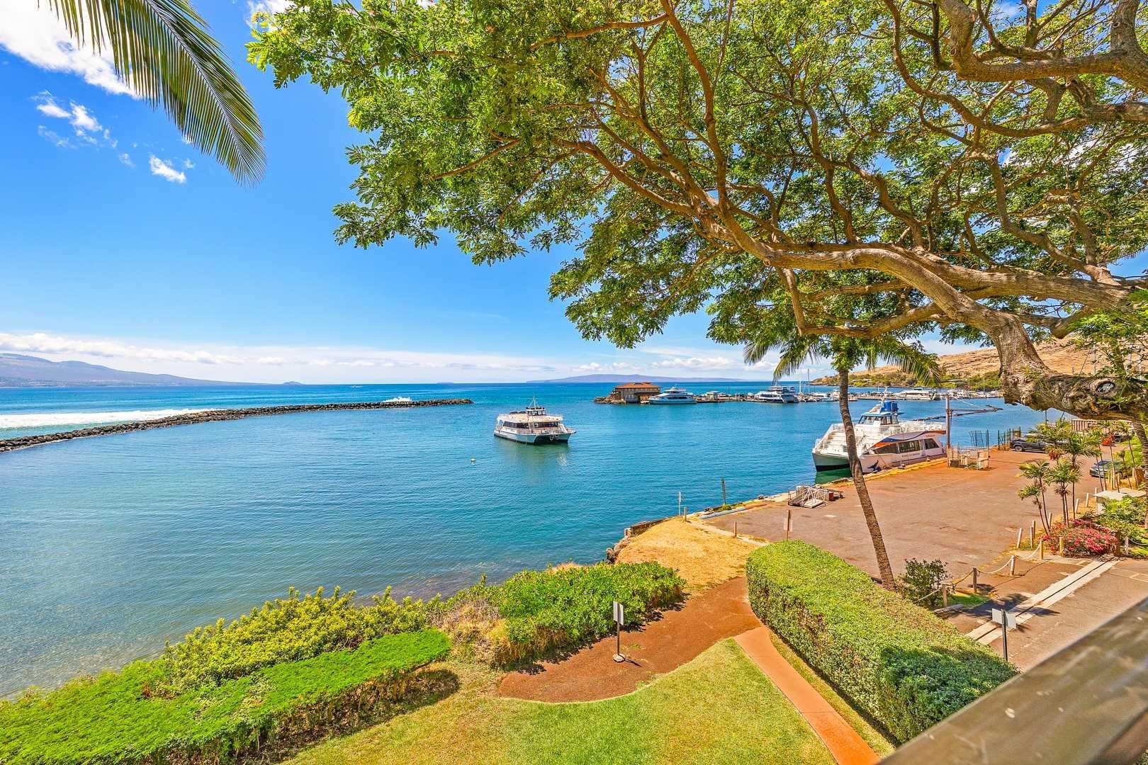 Hawaii Real Estate New Listing