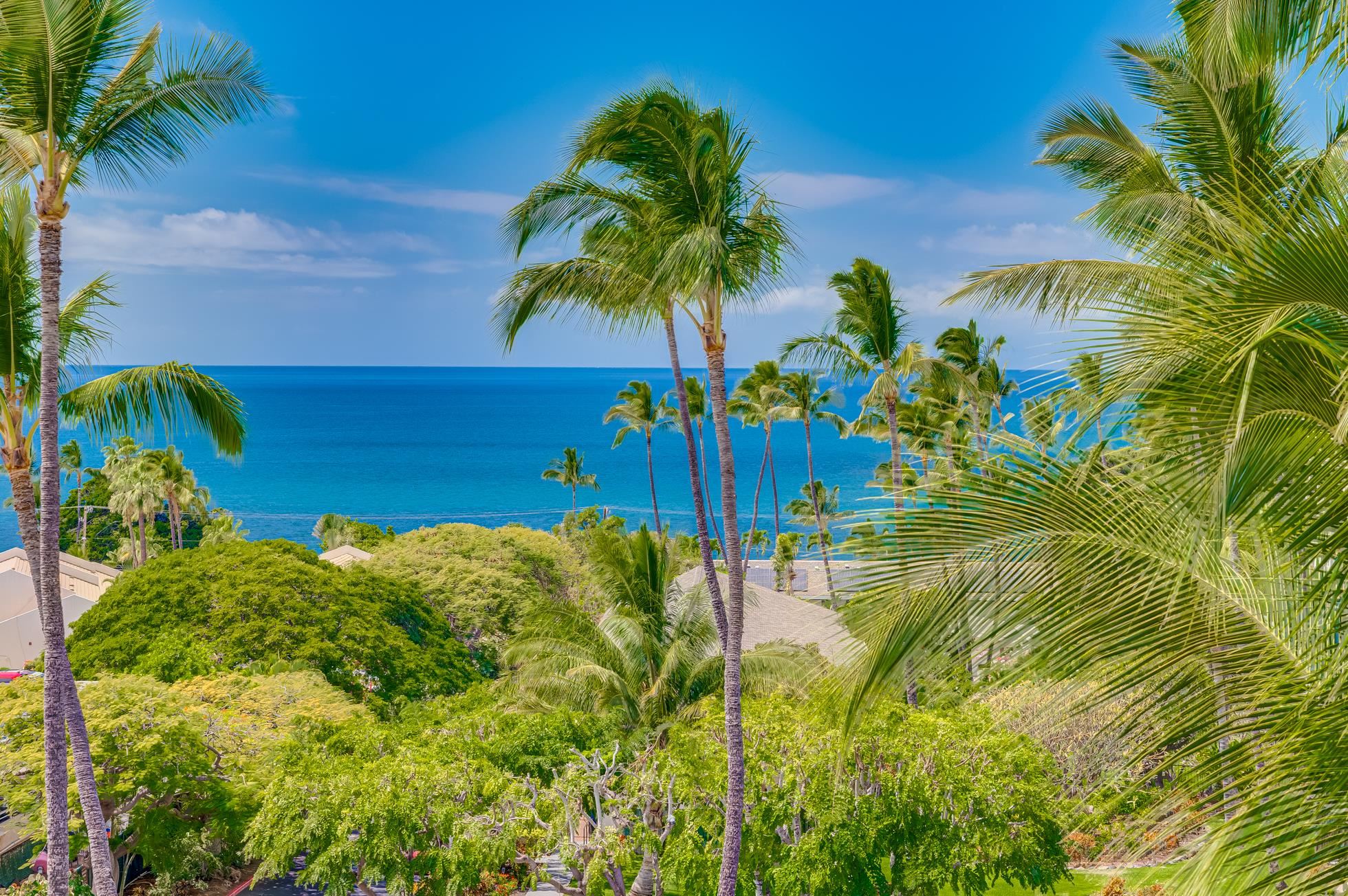 Hawaii Real Estate New Listing