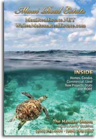 Maui Real Estate brochure