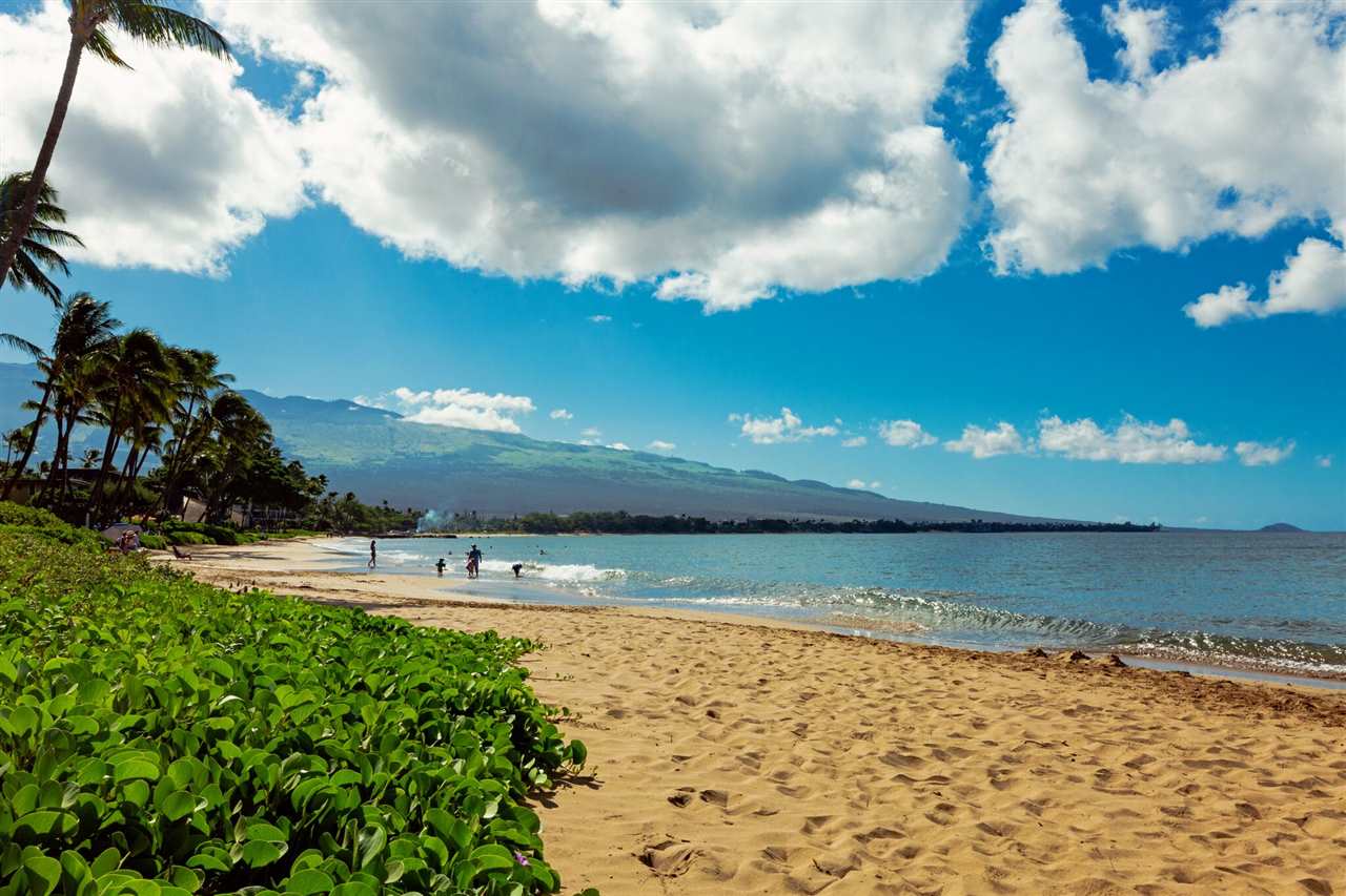 Kihei Condo Sold Kihei Sands Unit A1, Maui, Hawaii