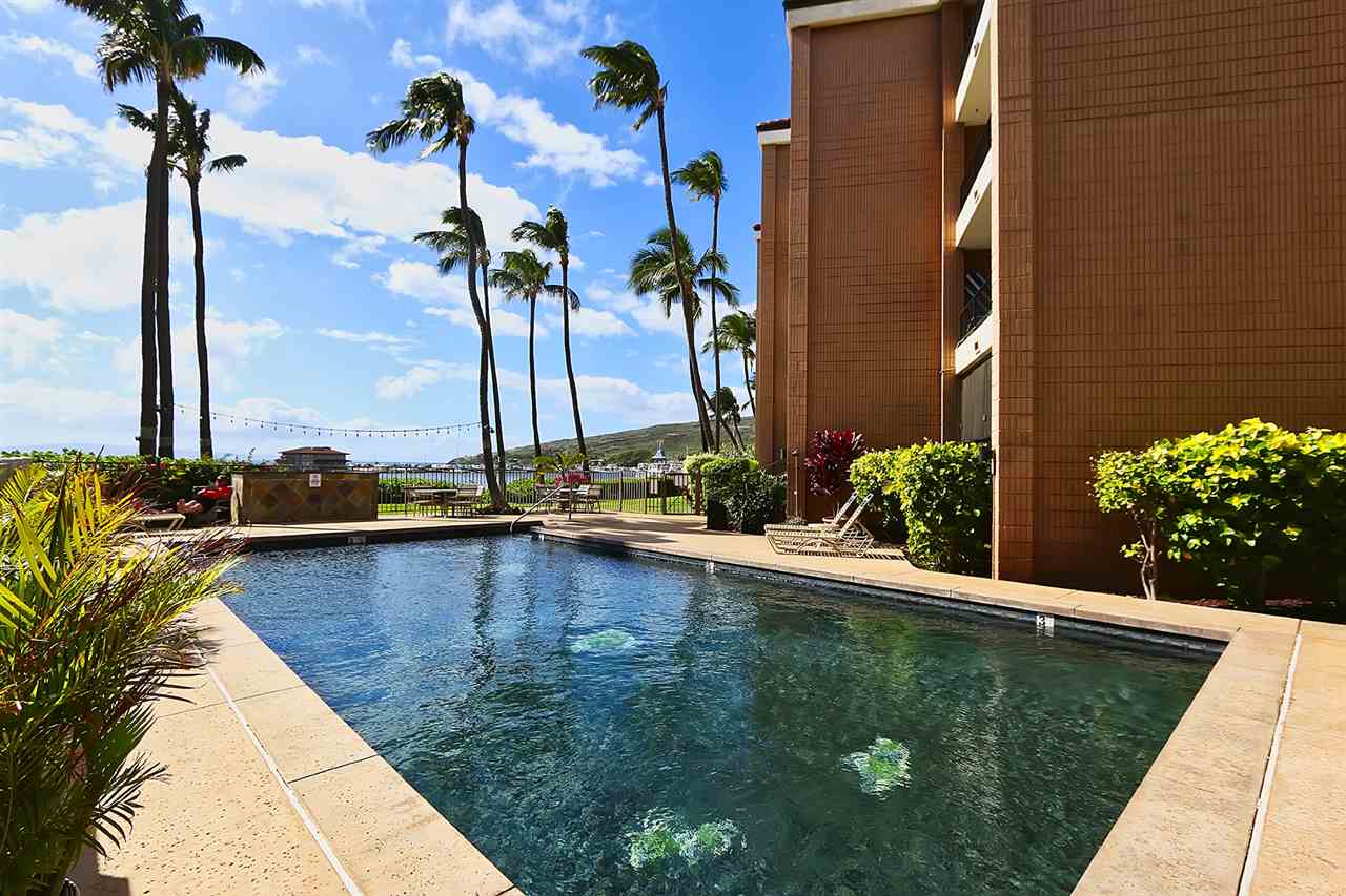 maalaea yacht marina condo rentals