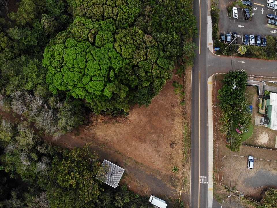 Haiku Land For Sale: 88 Pauwela Rd, Maui, Hawaii | MLS: 388980