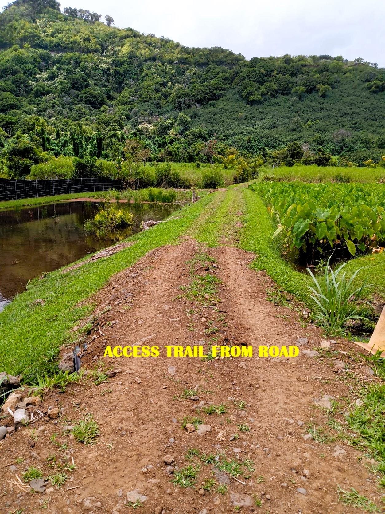 Photo of  Lot 6A Kamilo Rd, Keanae, Maui, Hawaii