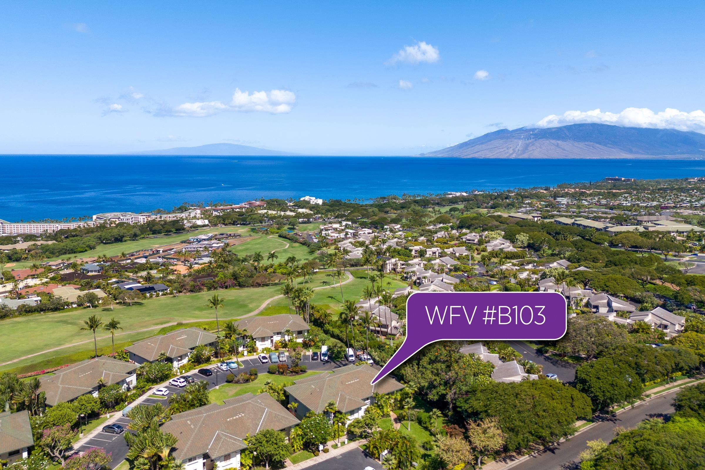 Maui Property Image