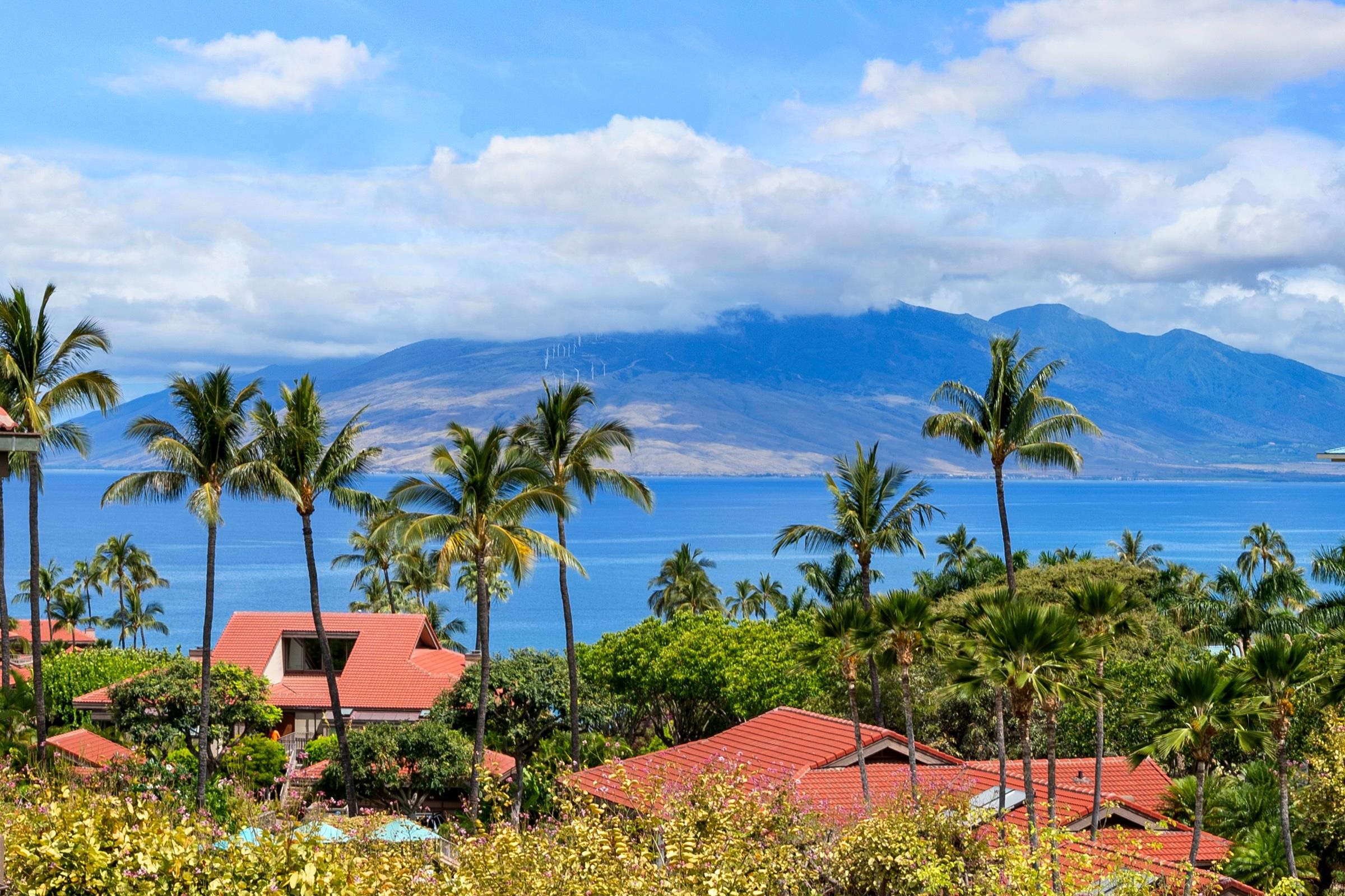 Maui Property Image