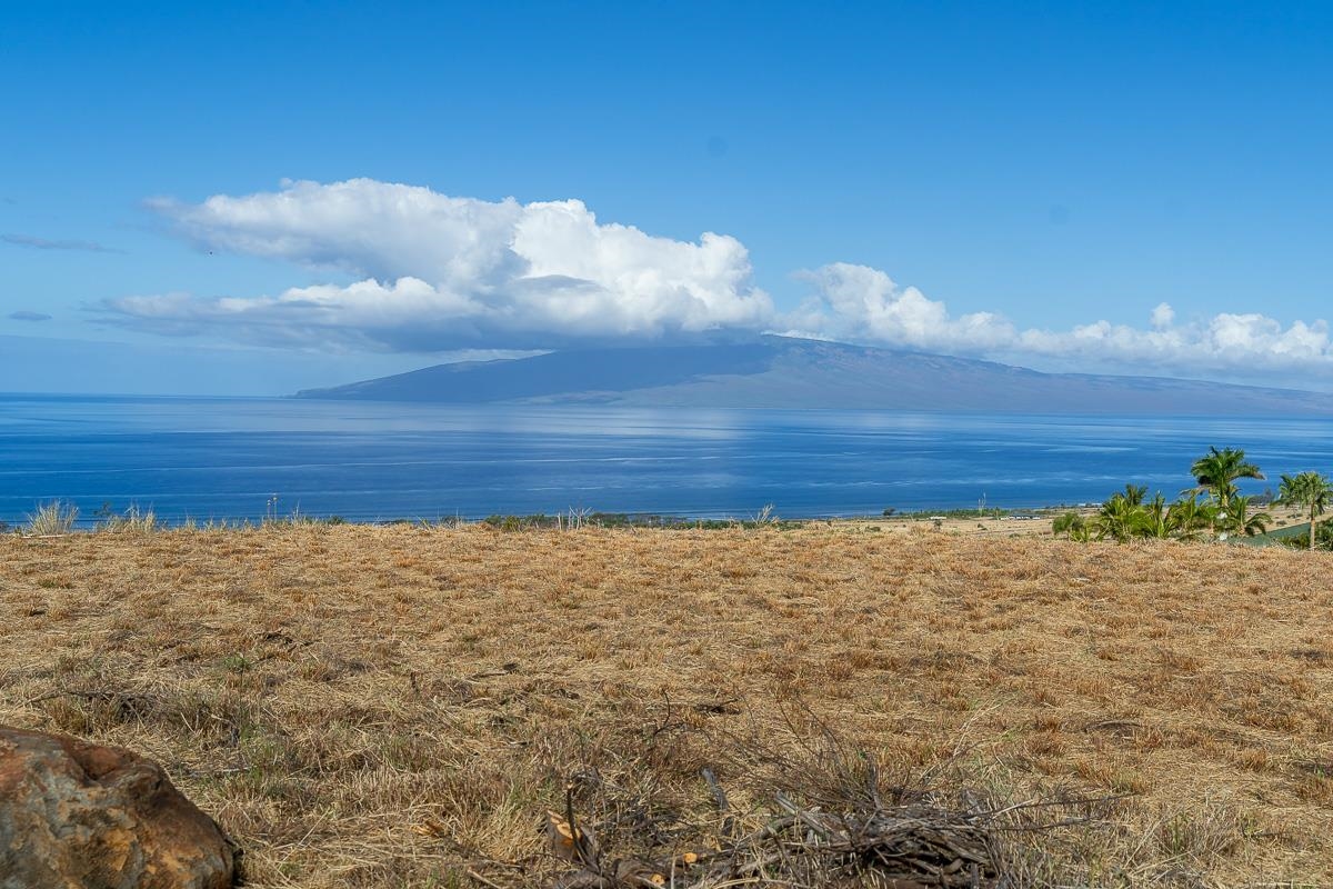 Maui Property Image