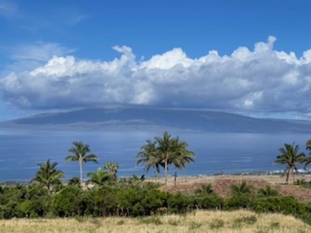 Maui Property Image