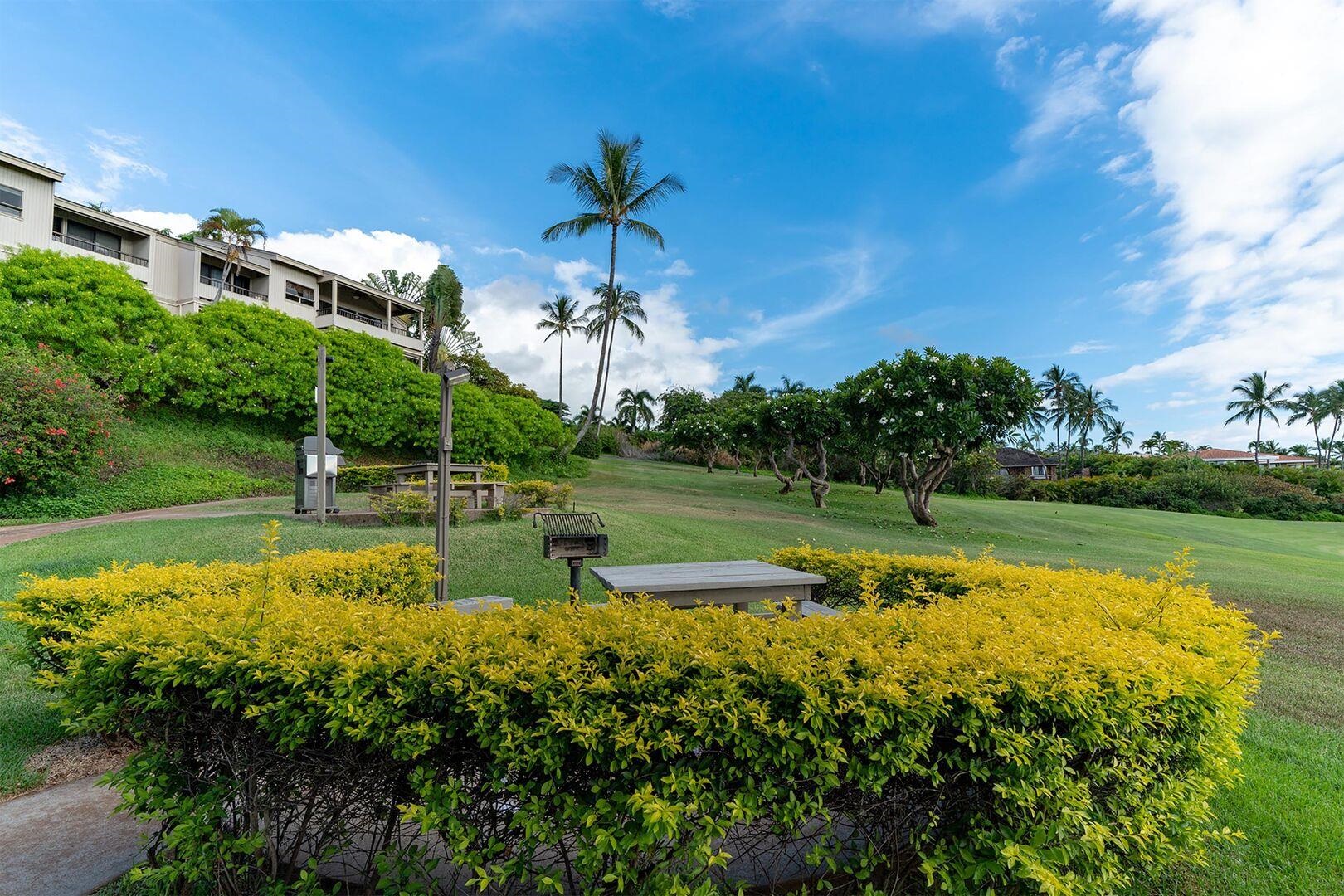 Maui Property Image