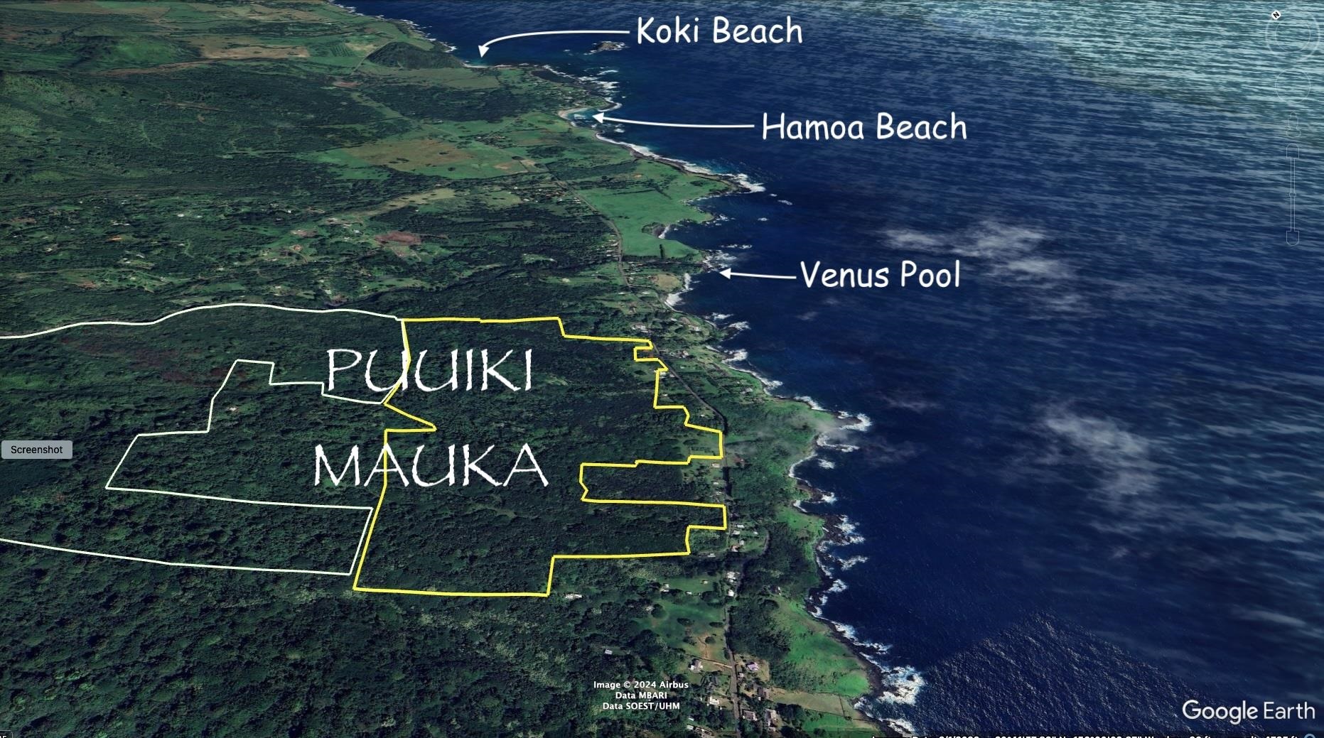 Maui Property Image