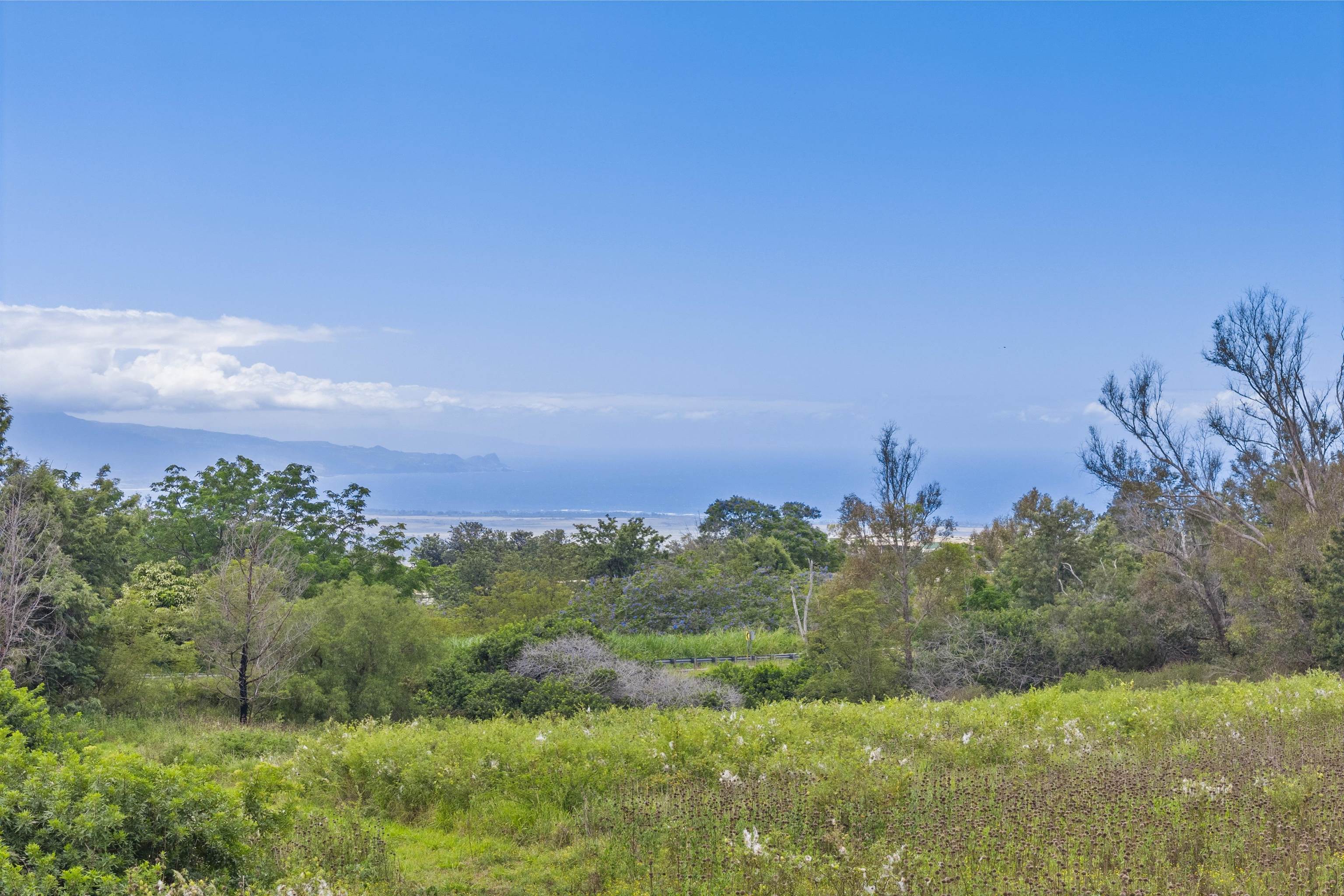 Maui Property Image