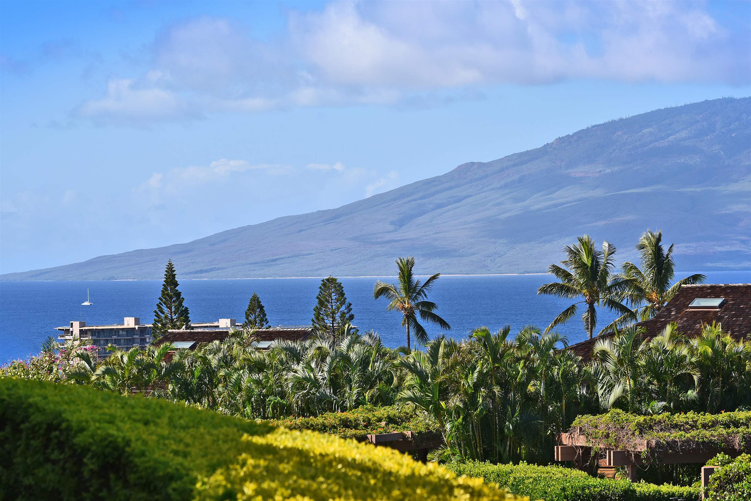 Maui Property Image