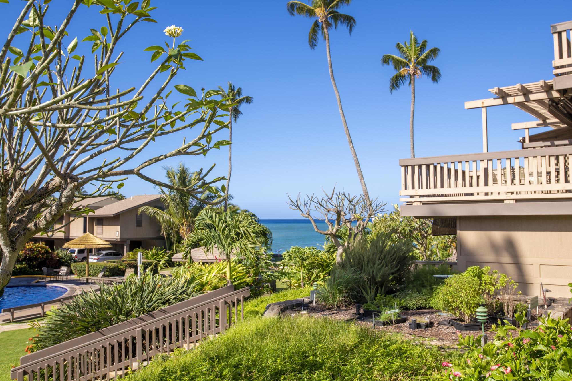 Maui Property Image