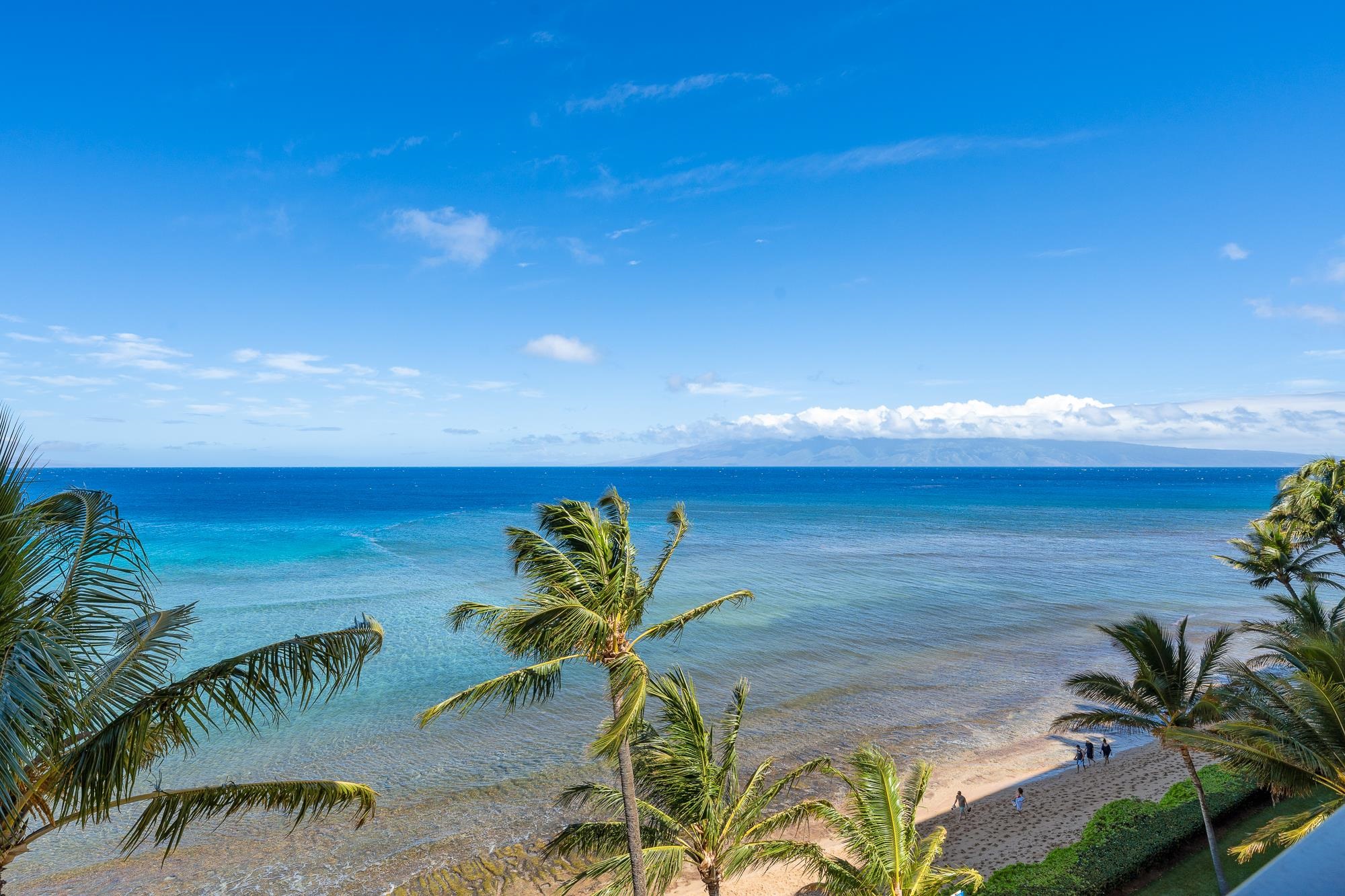 Maui Property Image