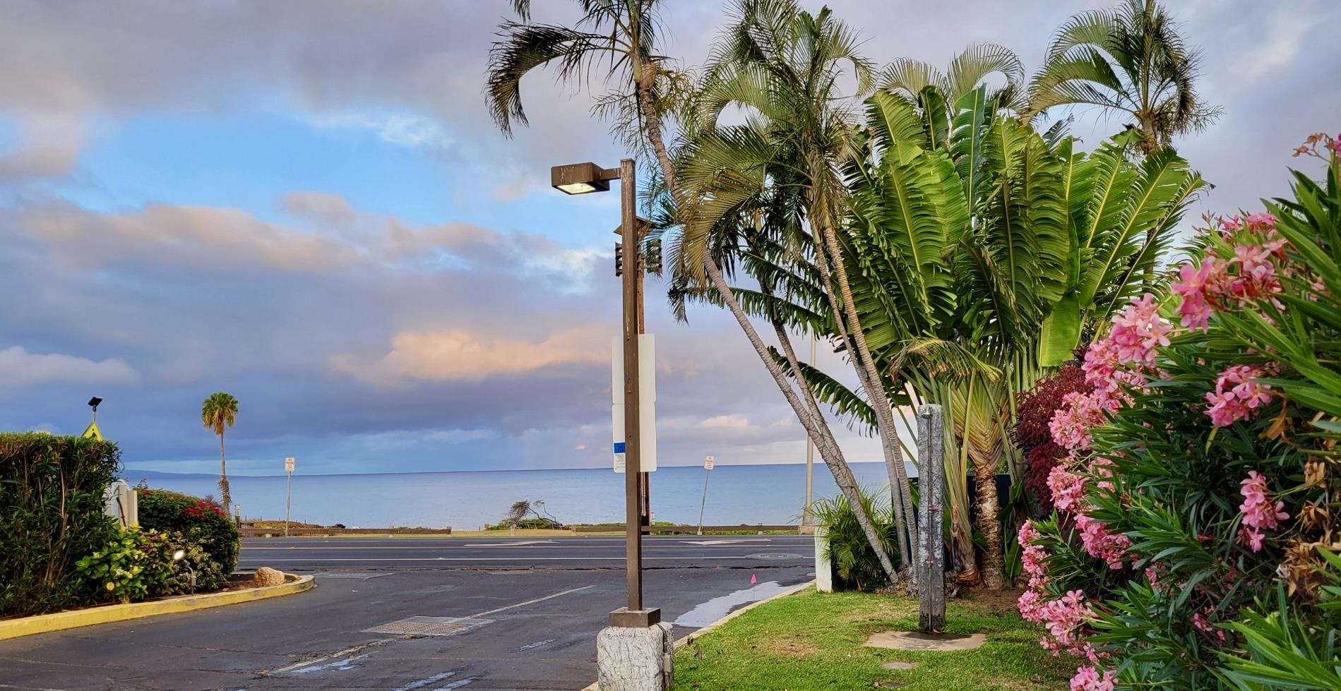 Maui Property Image