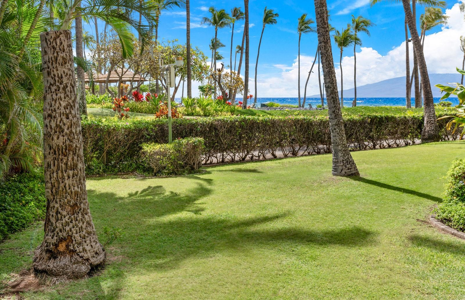 Maui Property Image