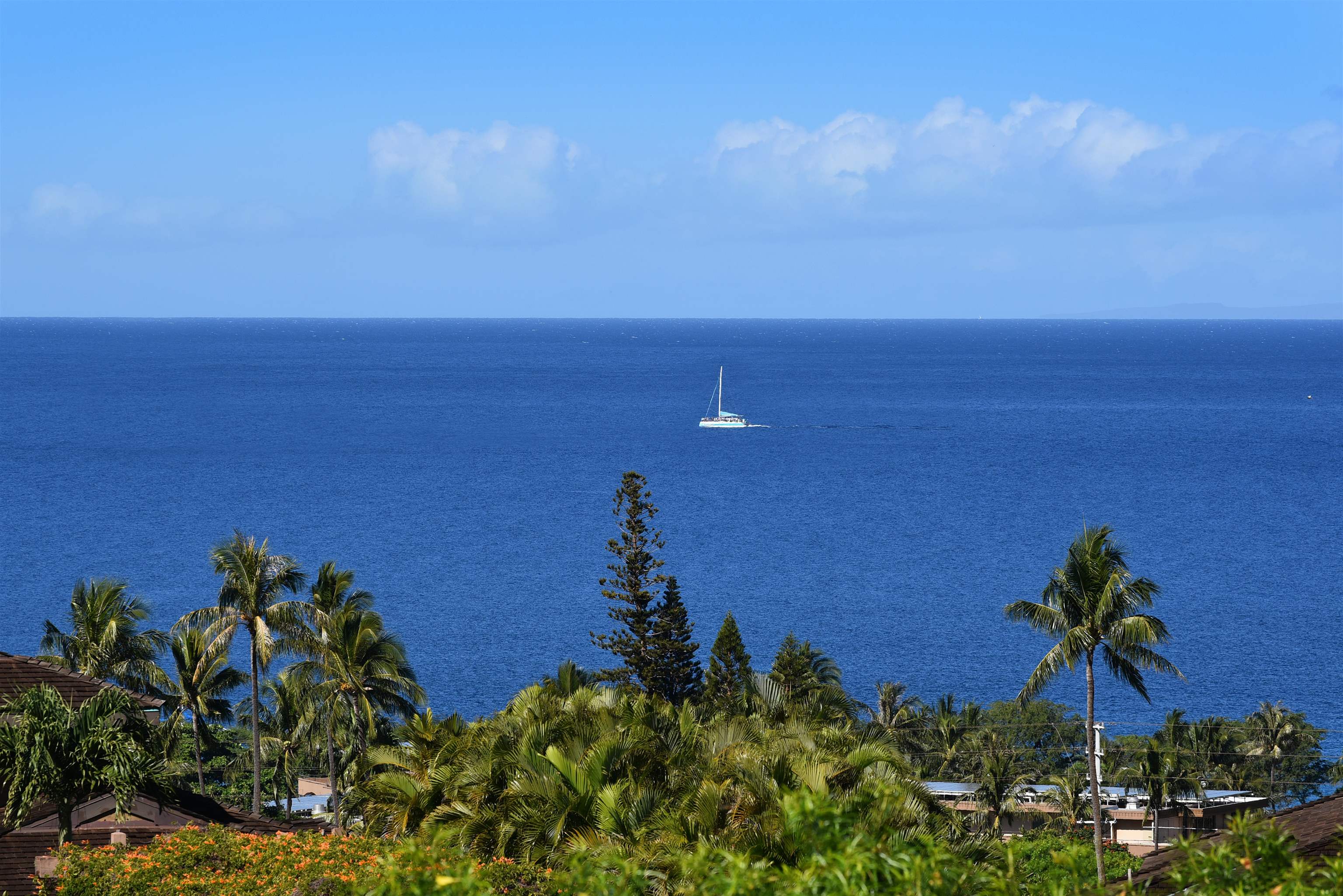 Maui Property Image