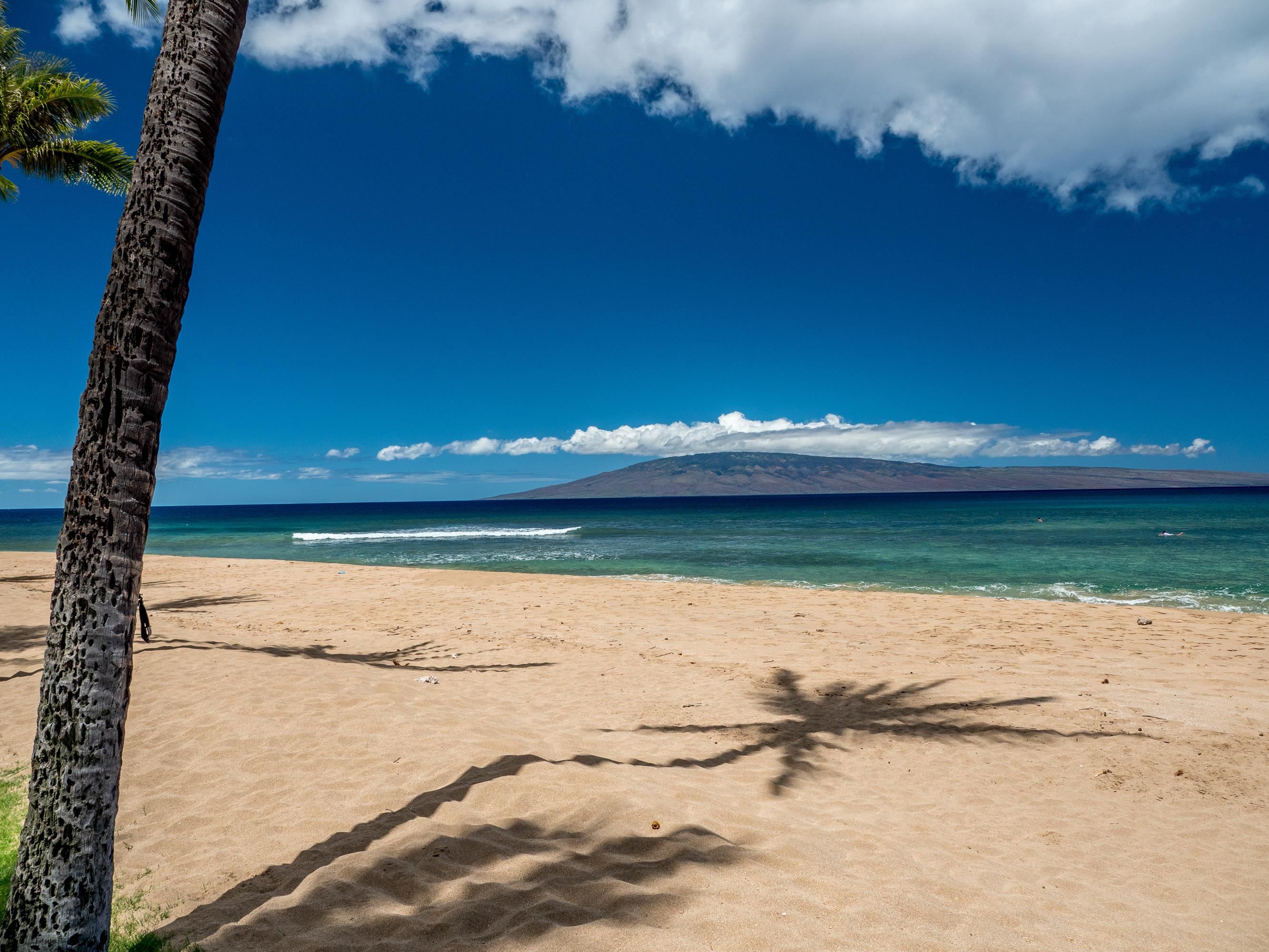 Maui Property Image