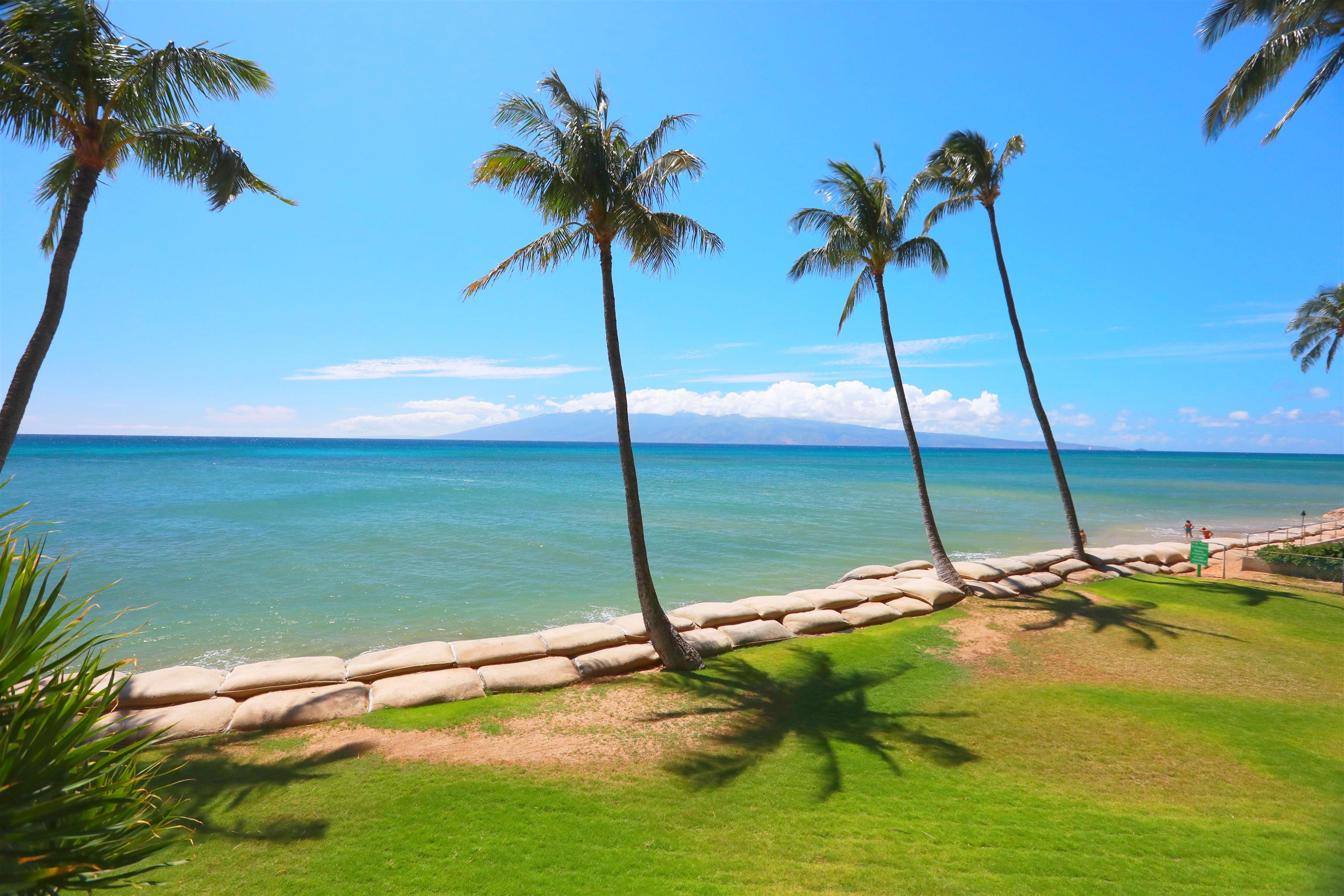 Maui Property Image