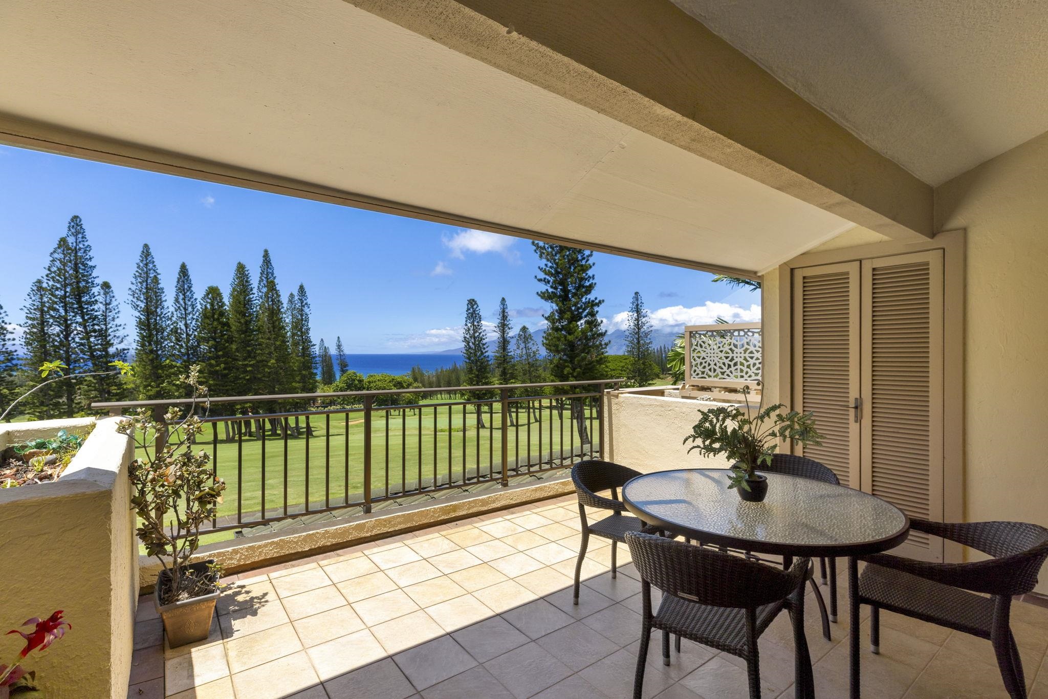 Maui Property Image