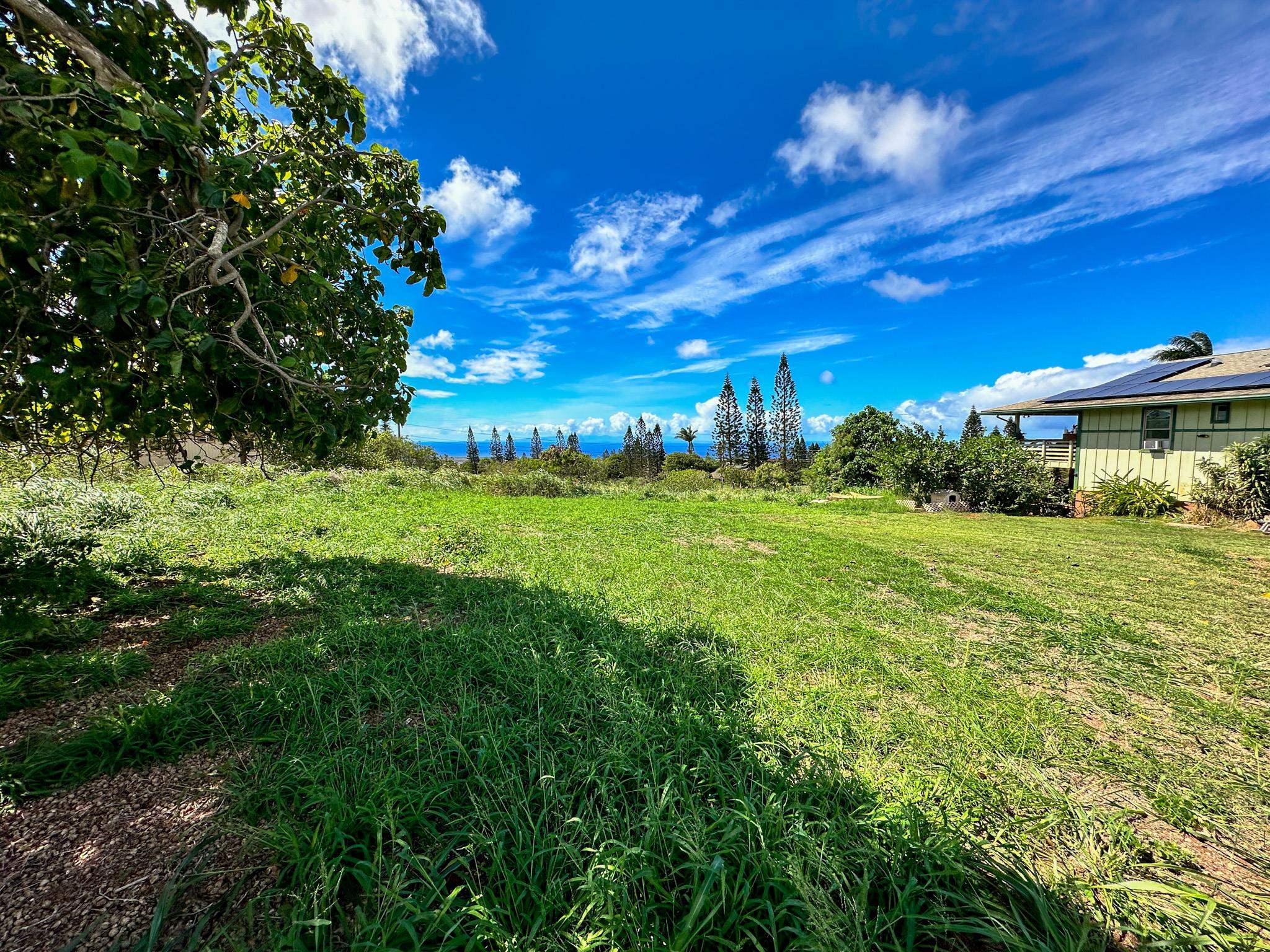 Maui Property Image