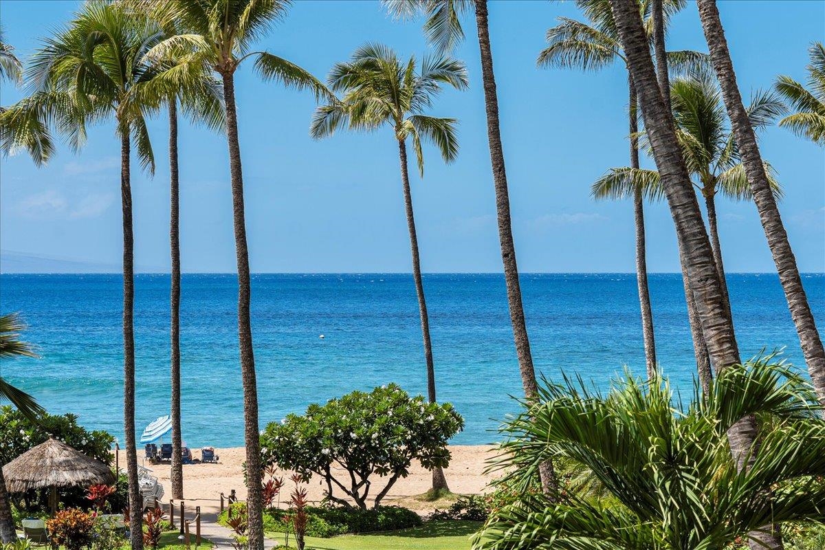 Maui Property Image