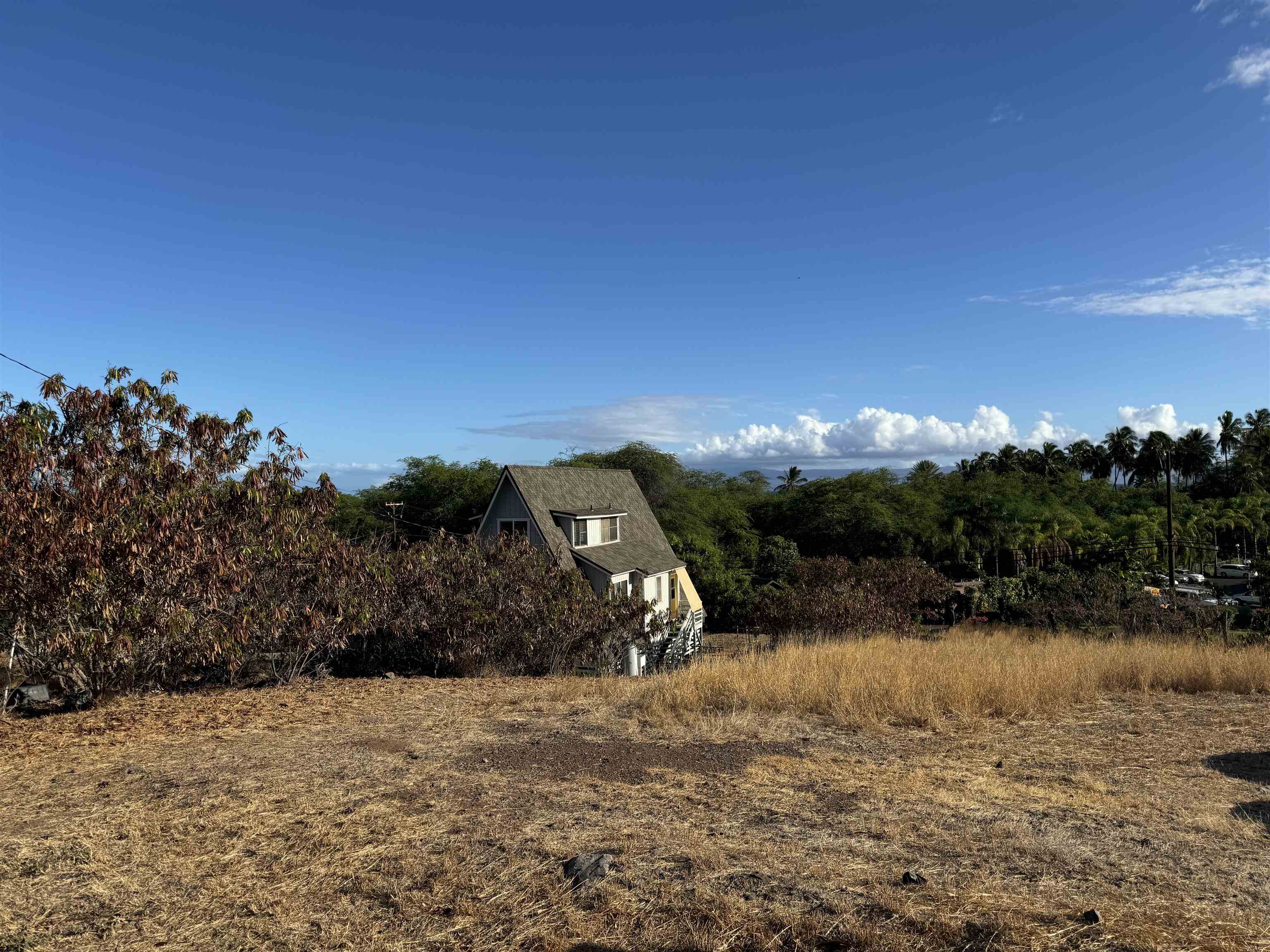 Maui Property Image