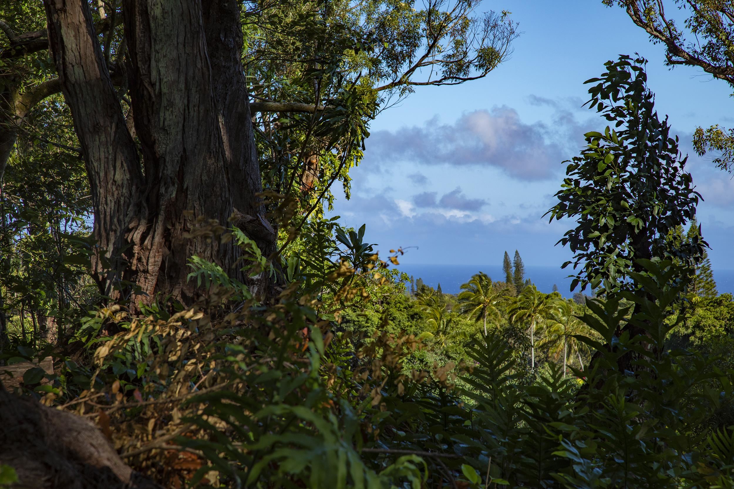 Maui Property Image