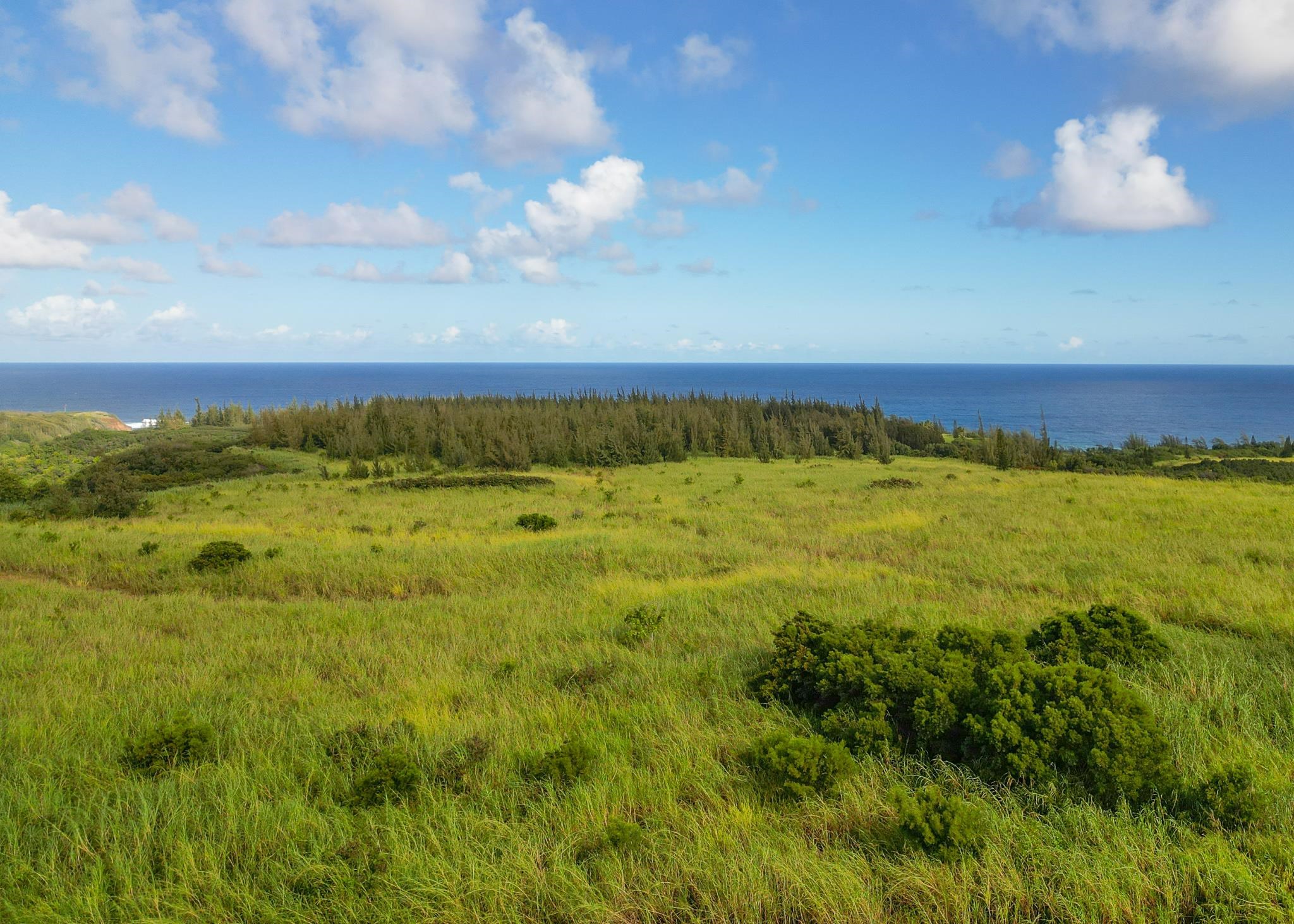 Maui Property Image