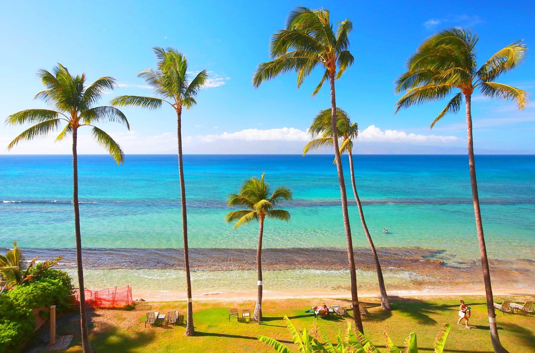 Maui Property Image