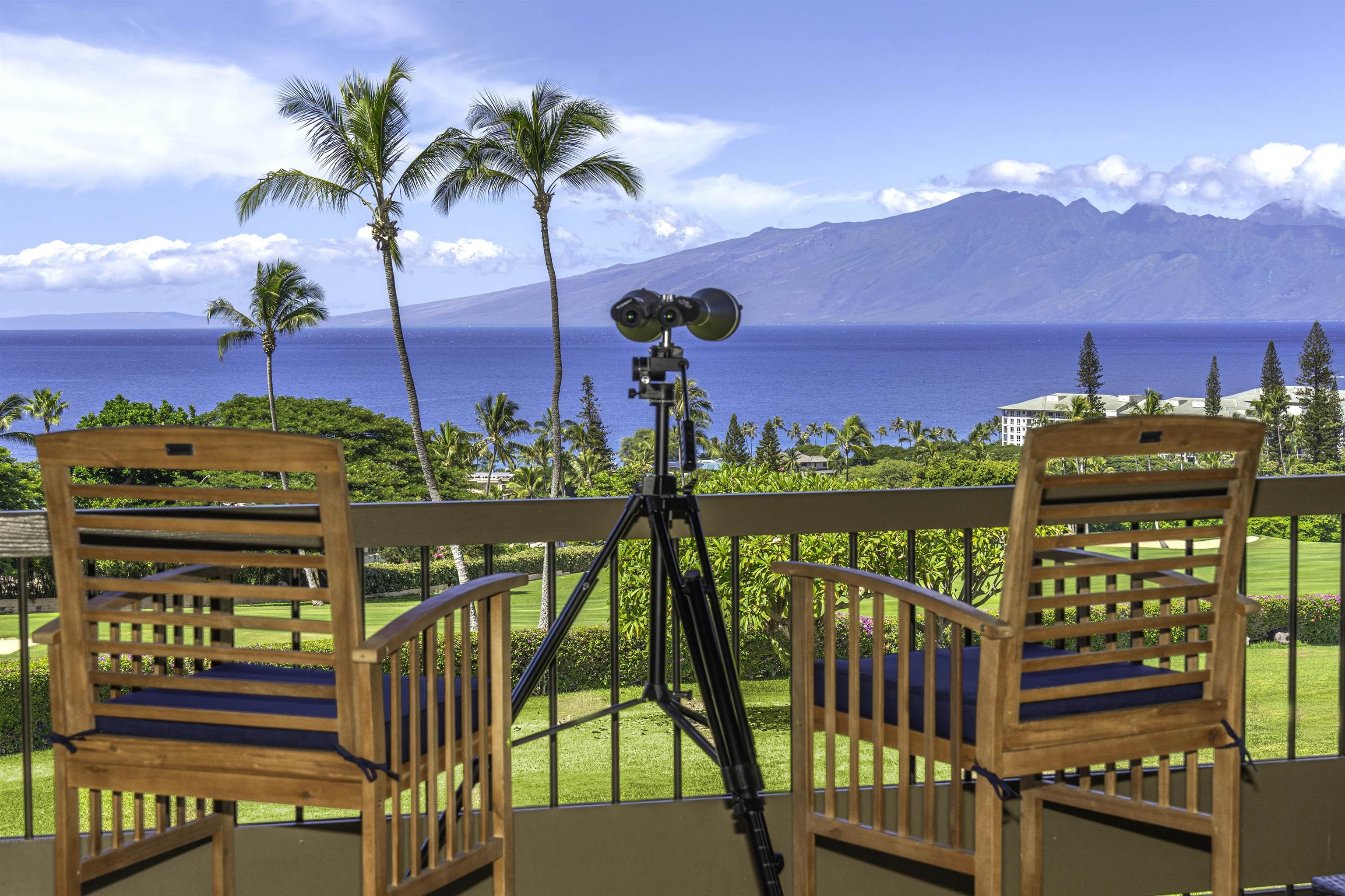 Maui Property Image