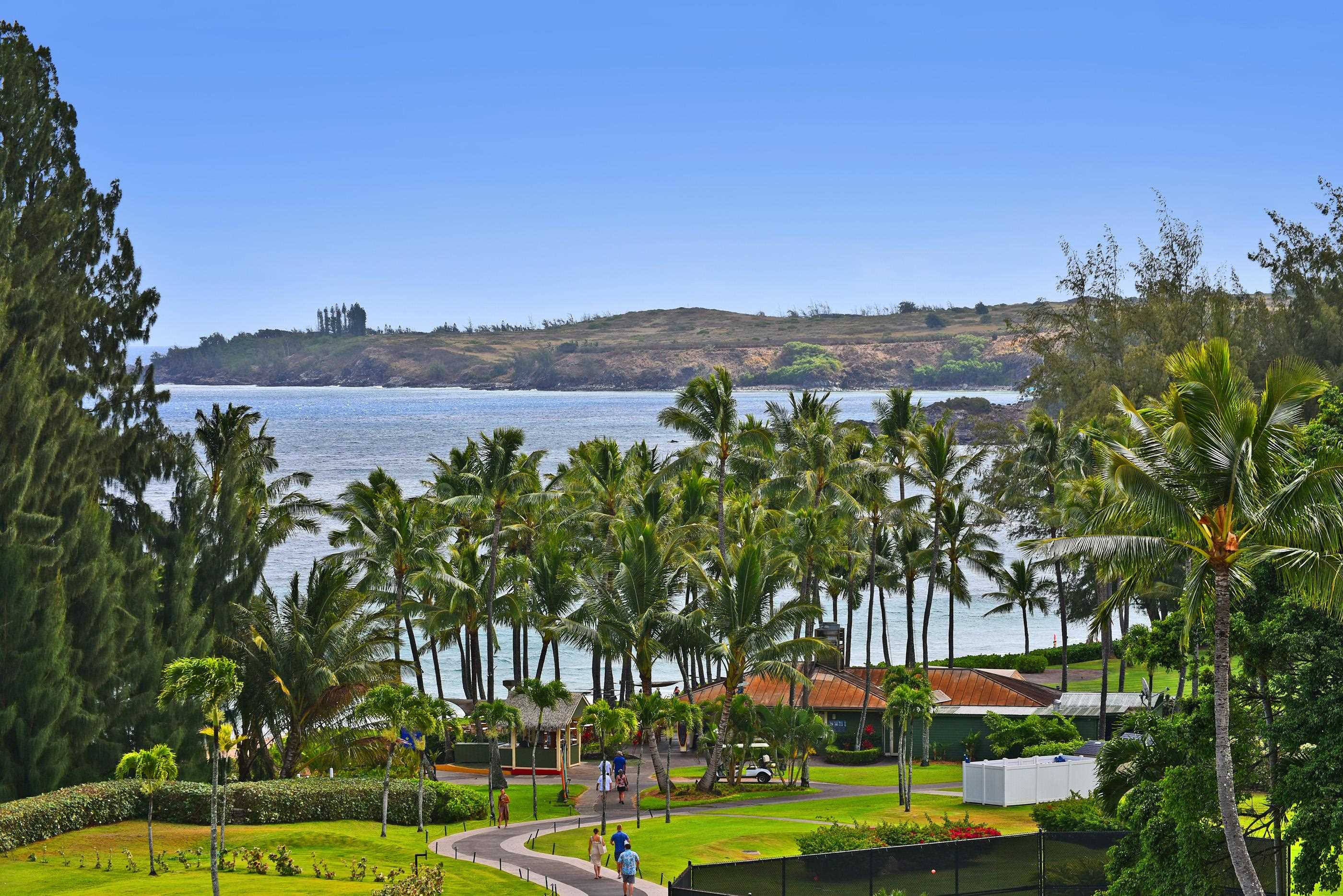 Maui Property Image