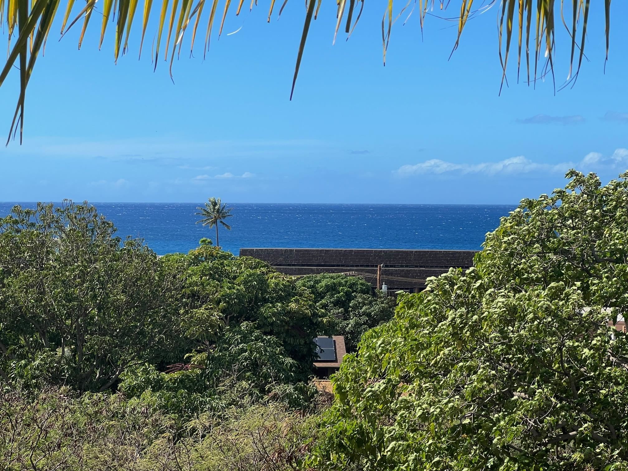 Maui Property Image