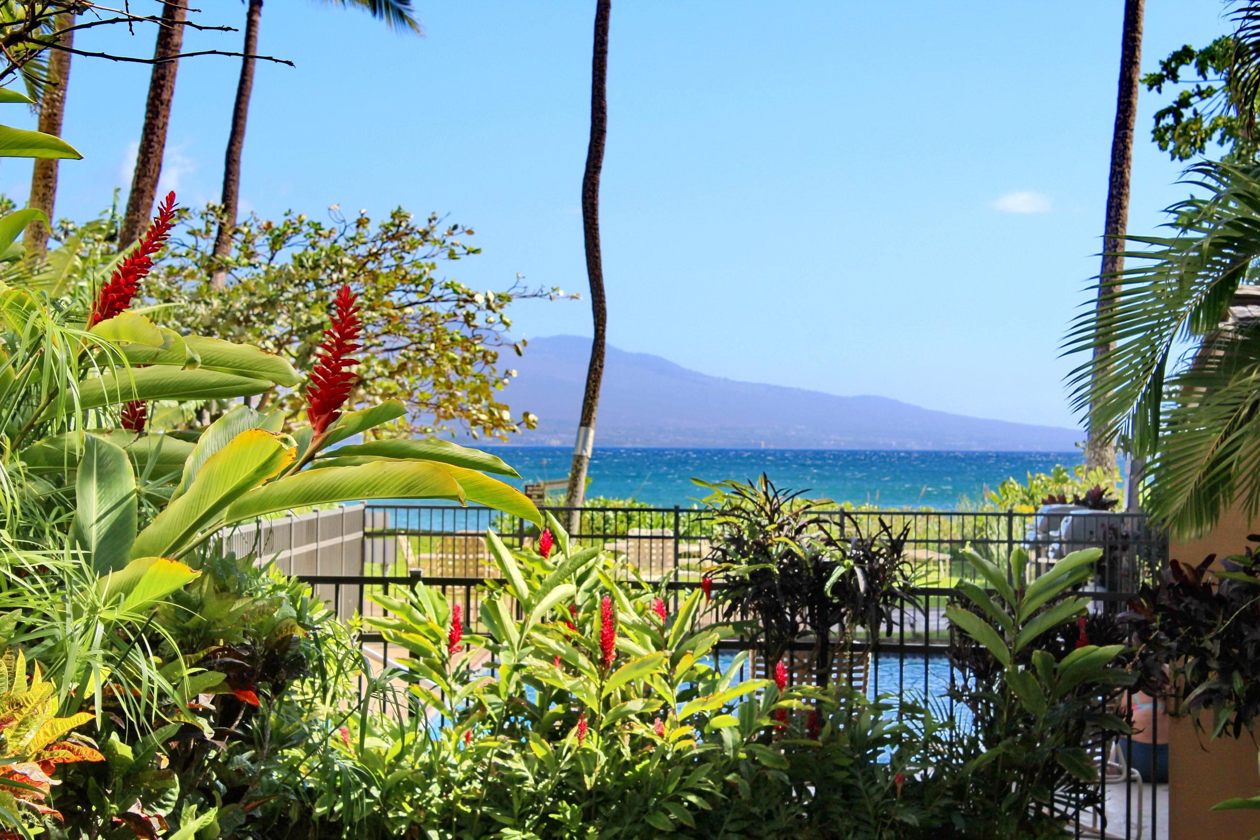 Maui Property Image