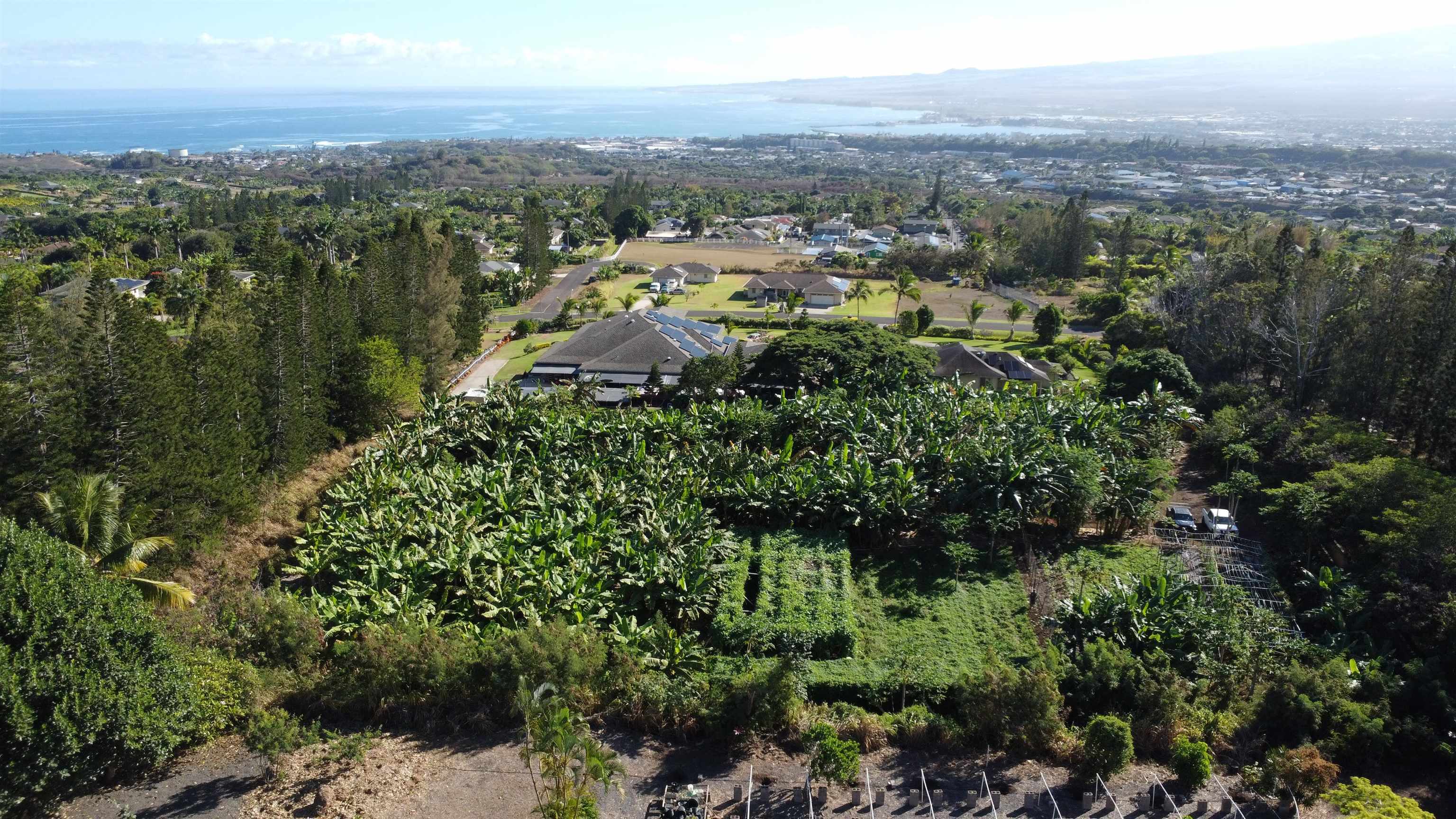 Maui Property Image