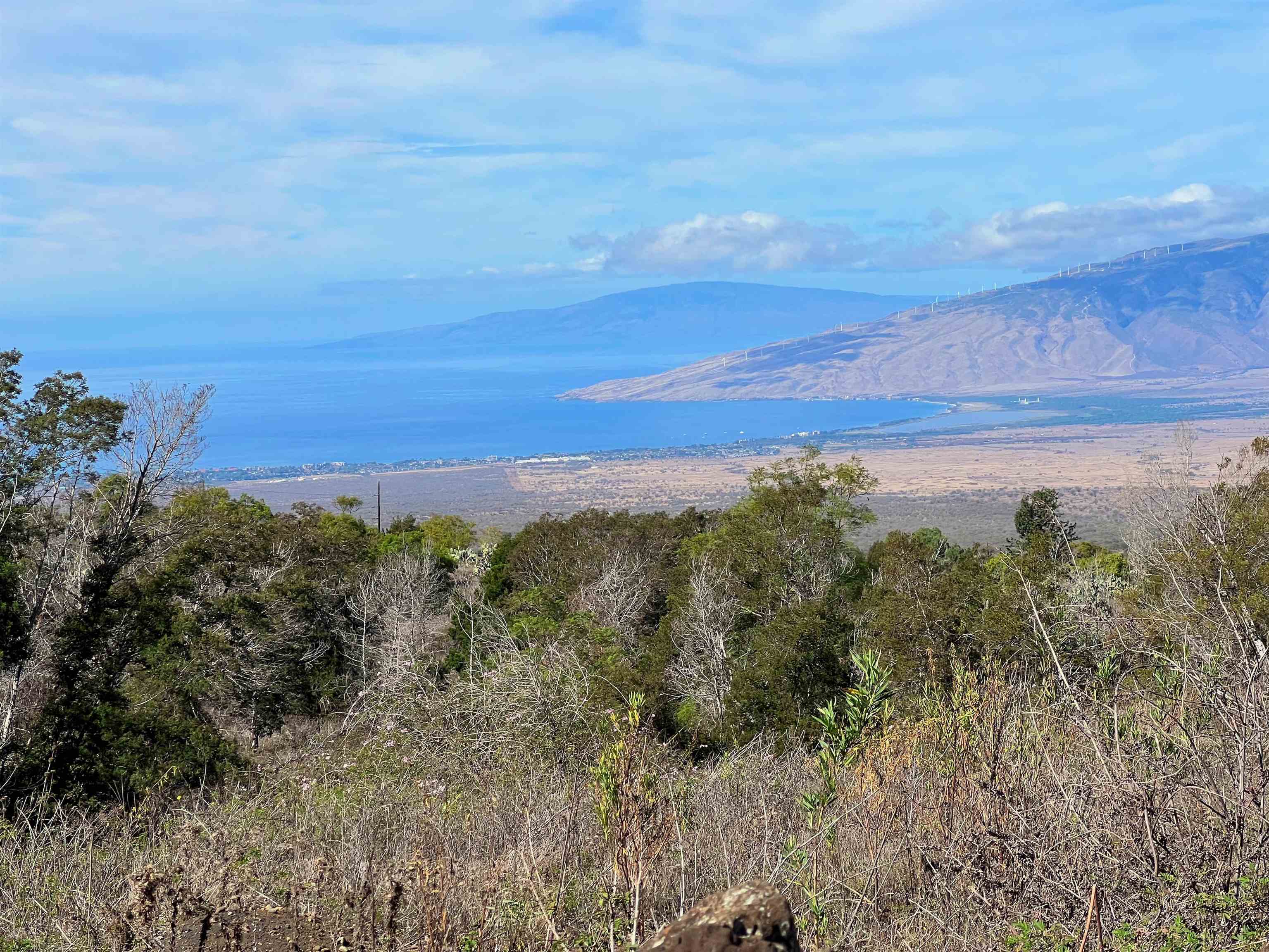 Maui Property Image