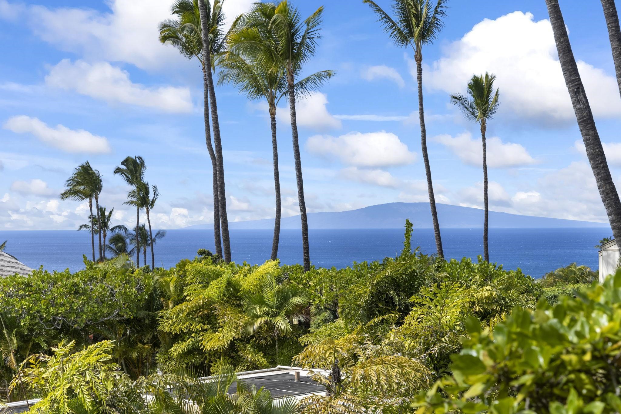 Maui Property Image