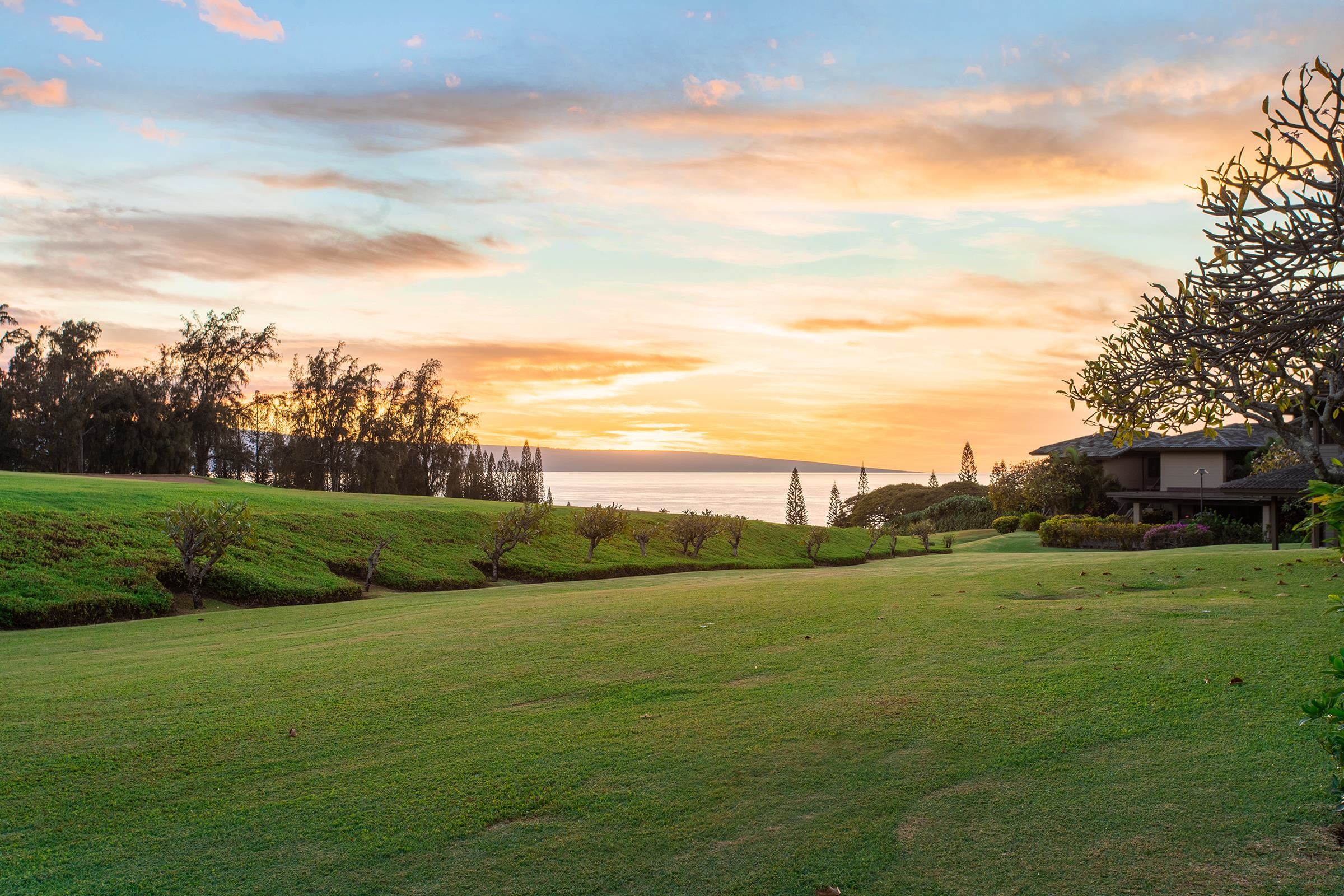 Maui Property Image