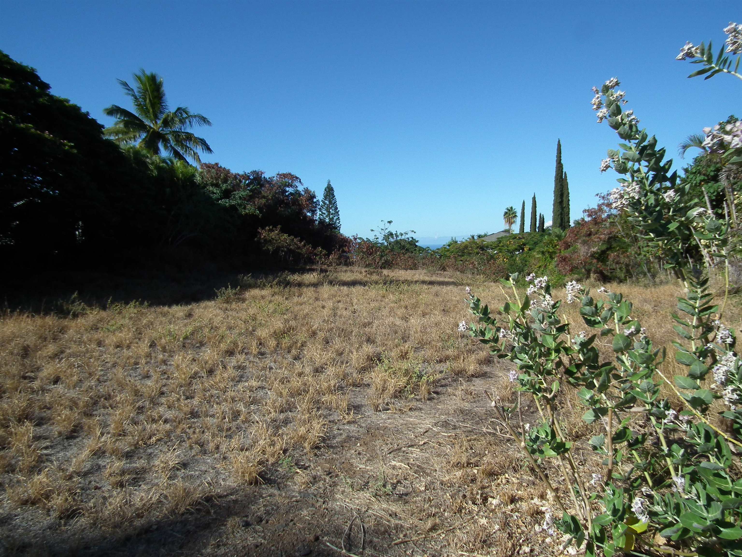 Maui Property Image