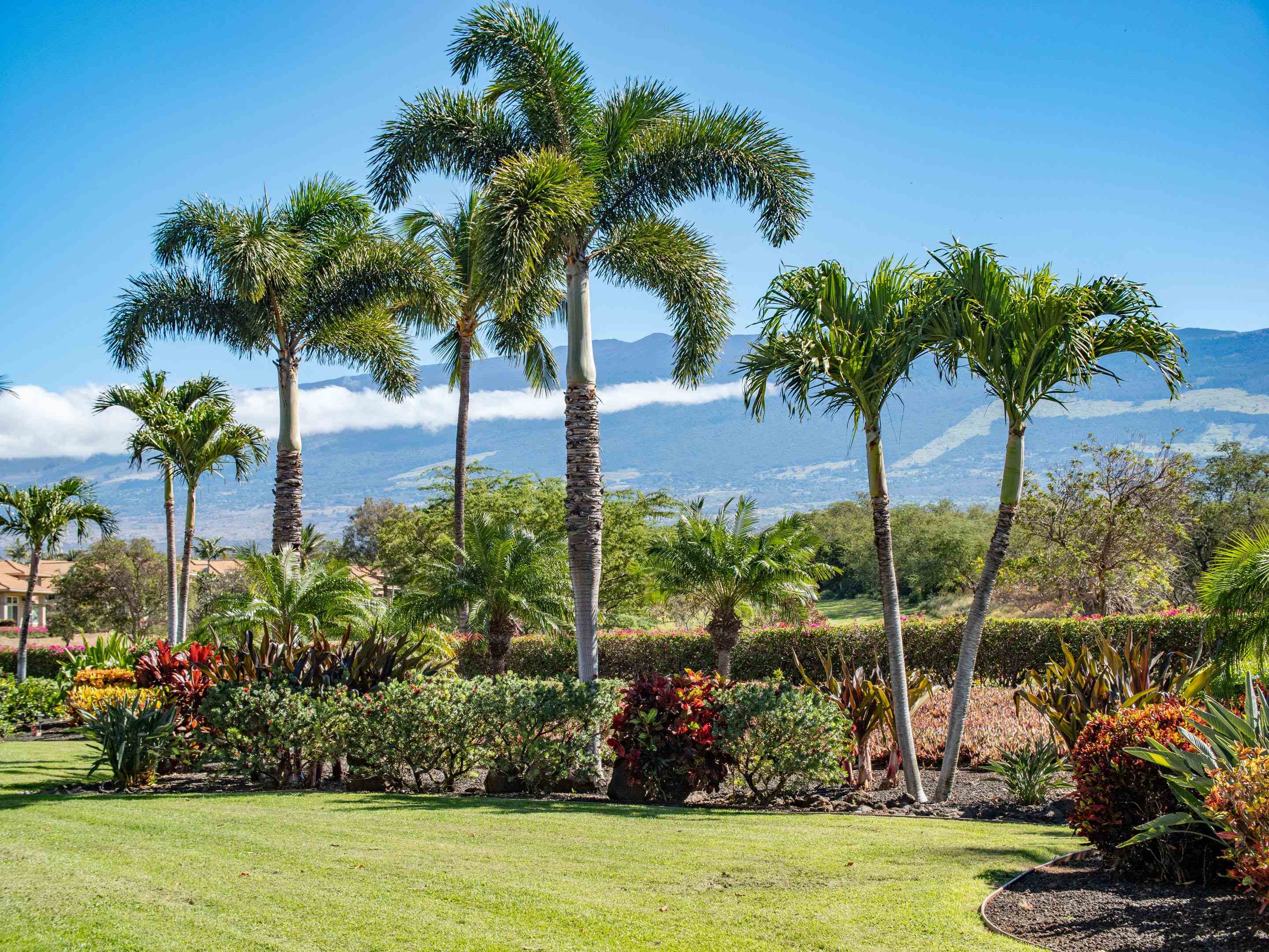 Maui Property Image