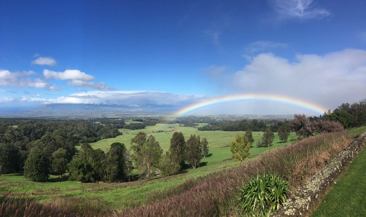 Maui Property Image