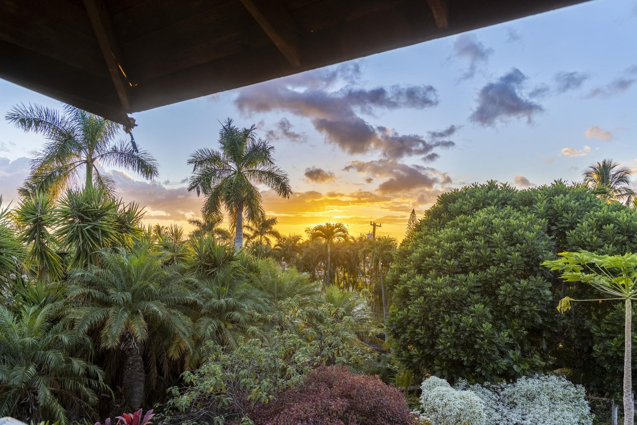 Maui Property Image