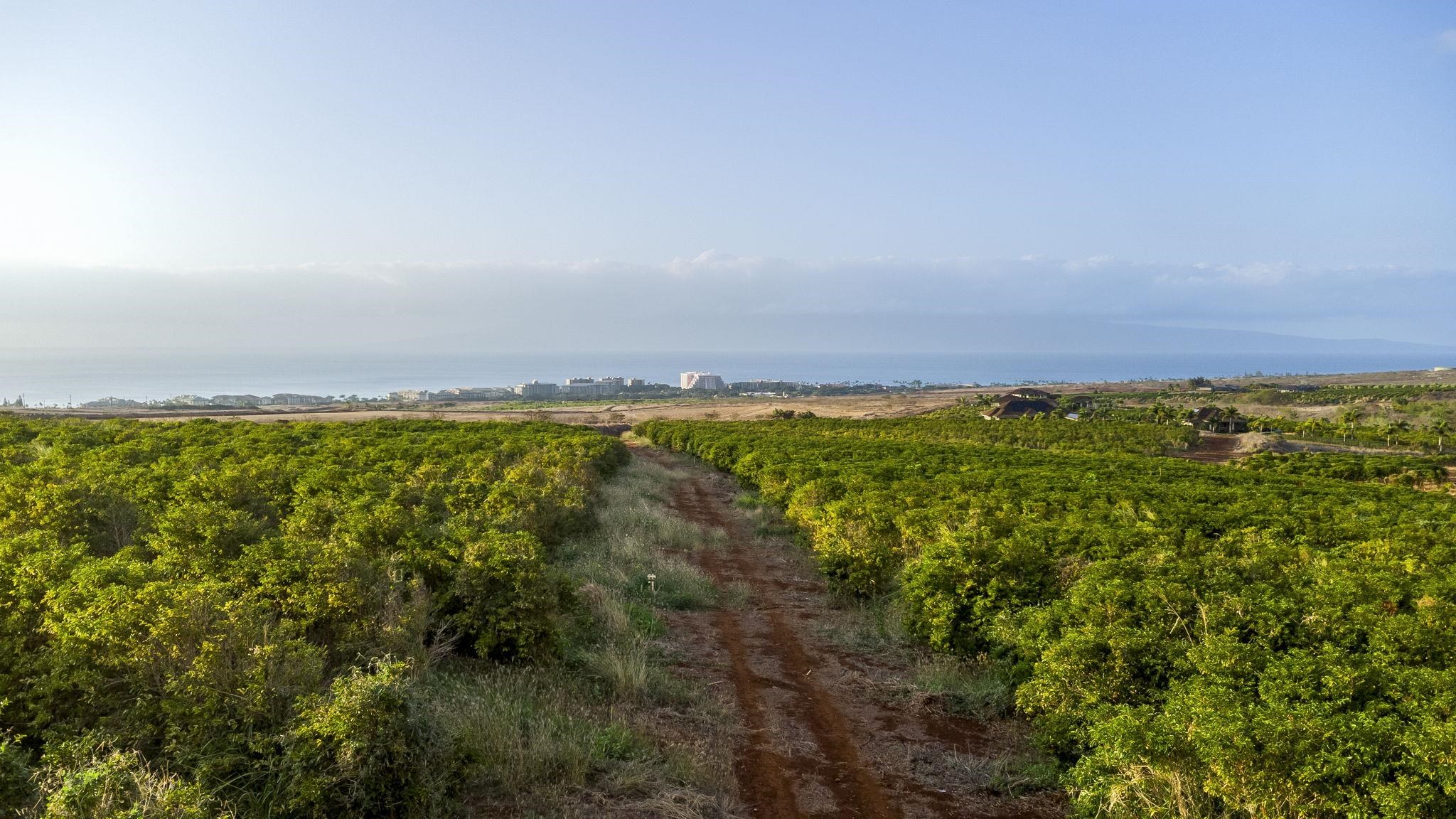 Maui Property Image