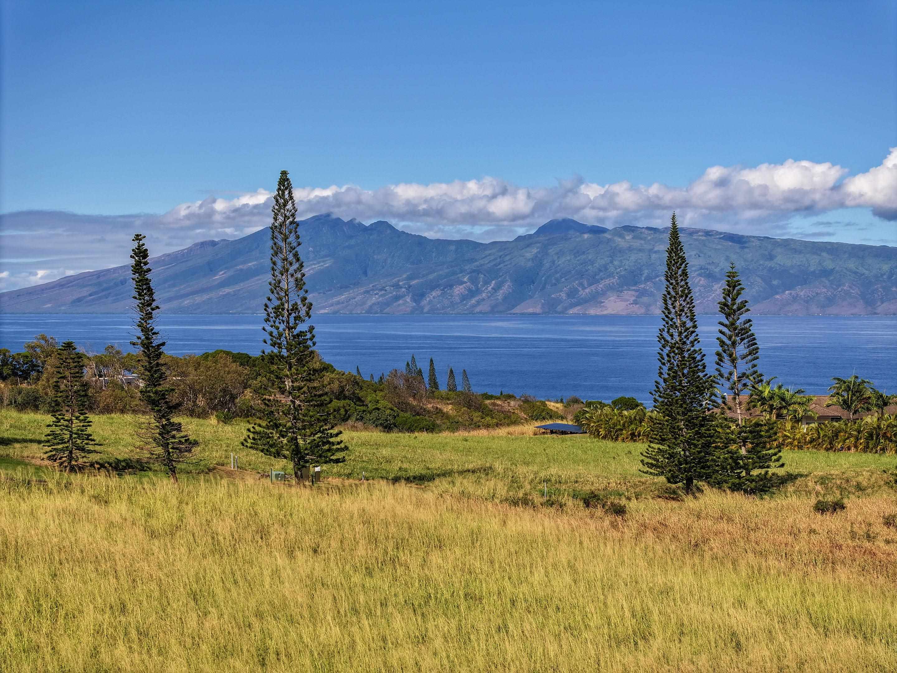 Maui Property Image