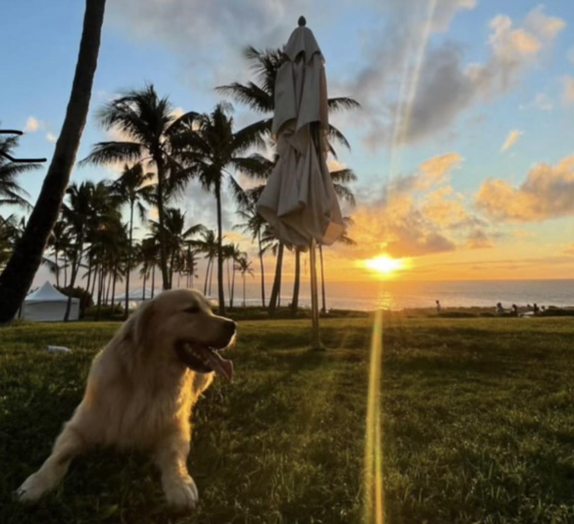 Maui Property Image