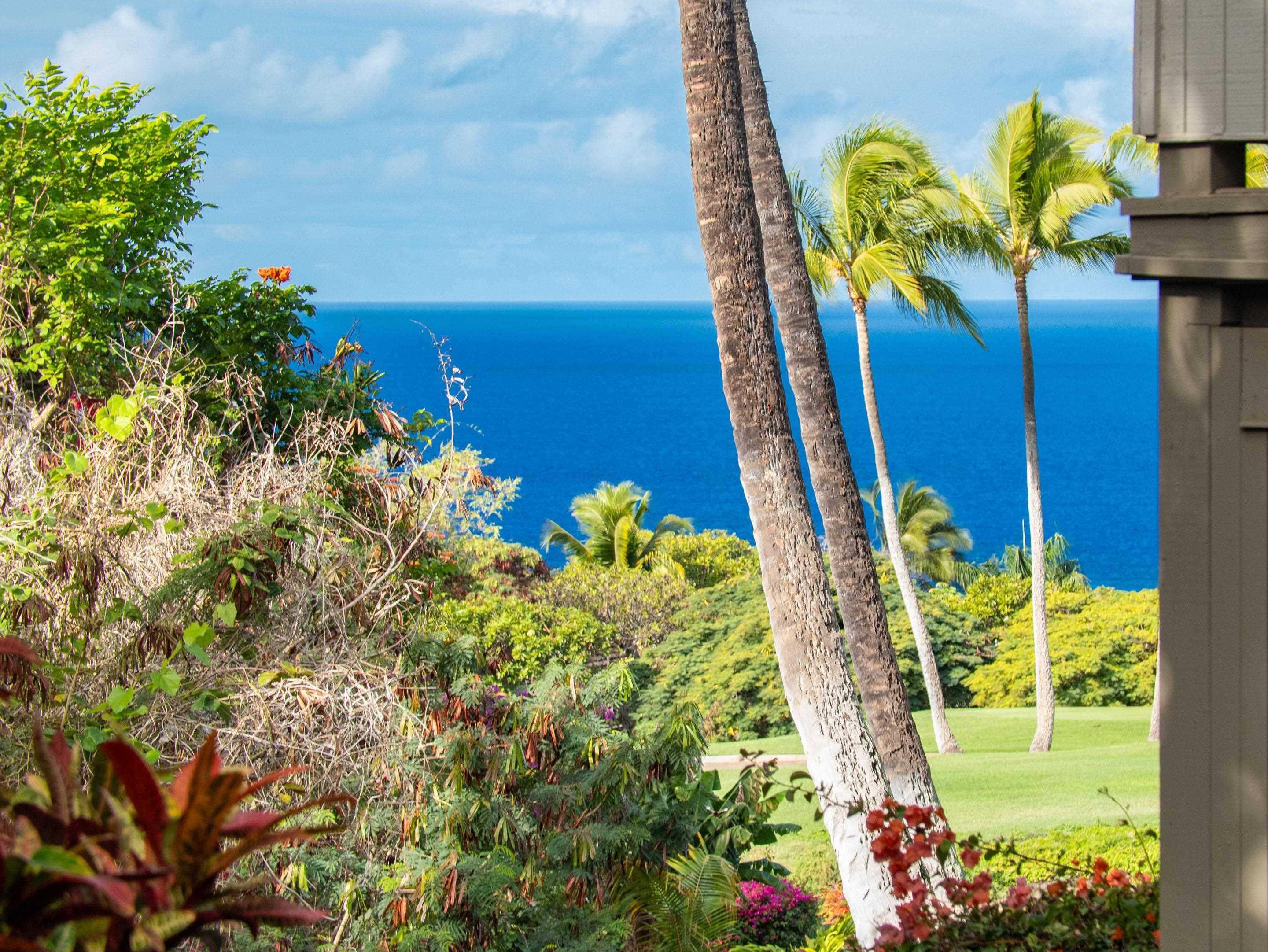 Maui Property Image