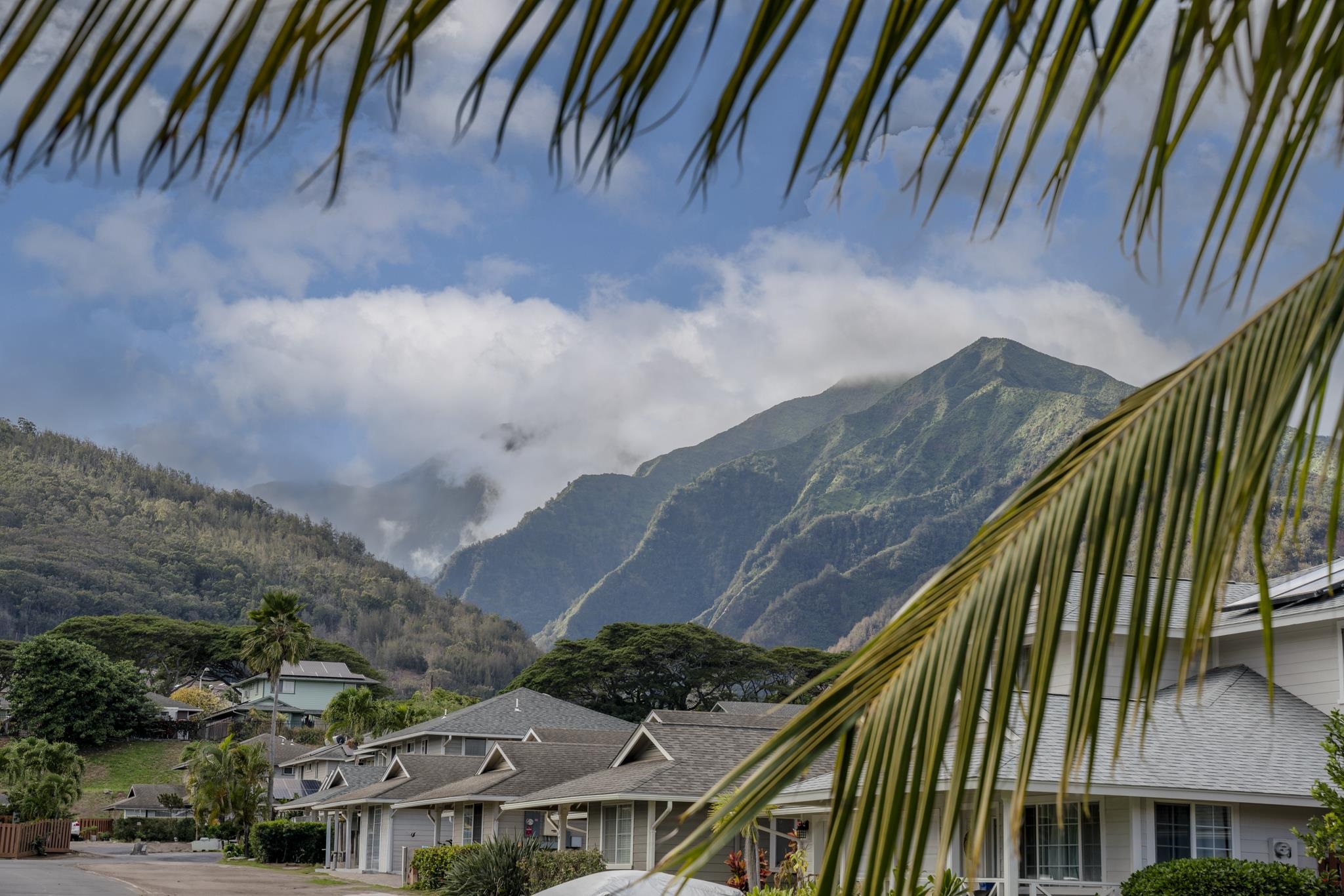 Maui Property Image