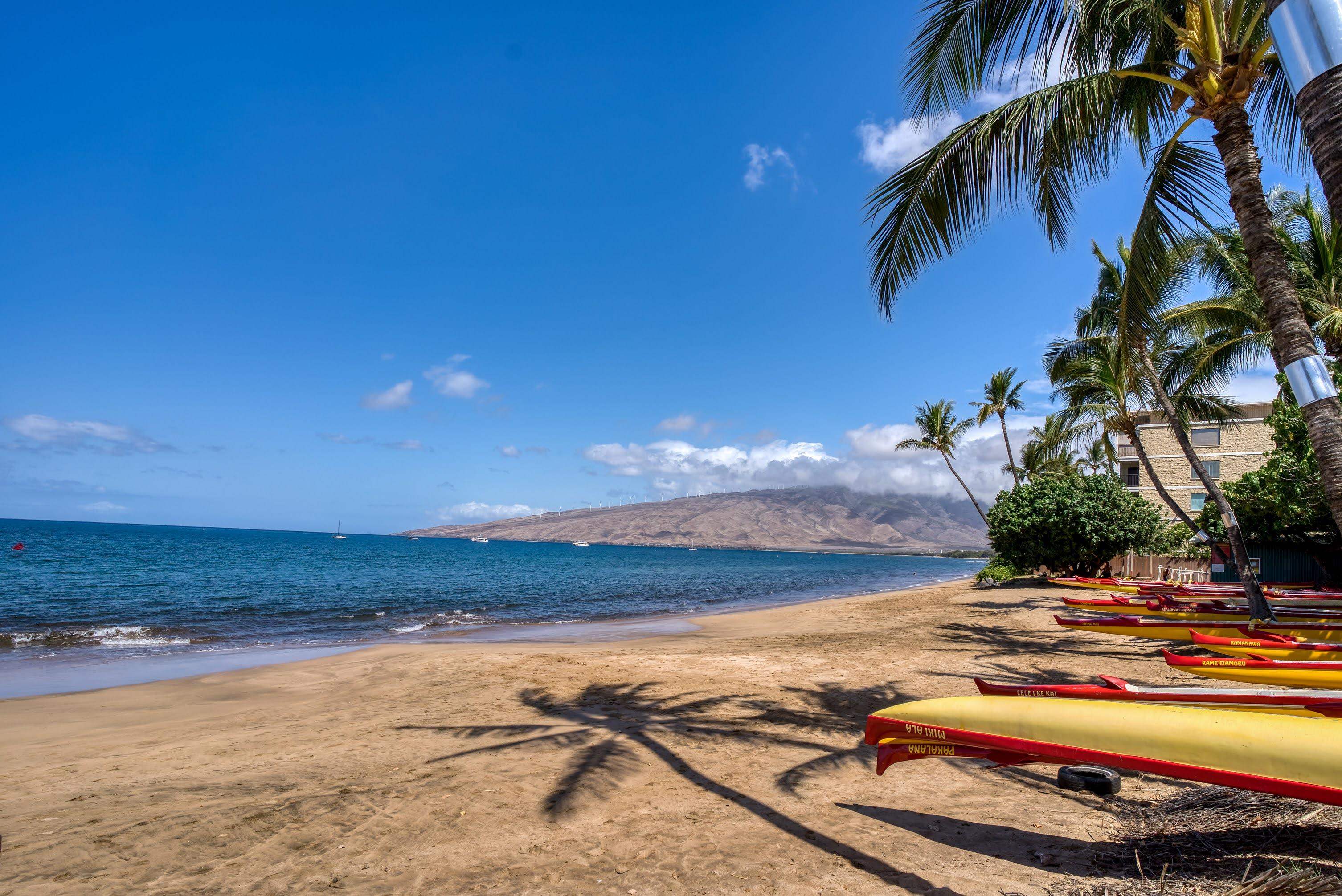 Maui Property Image