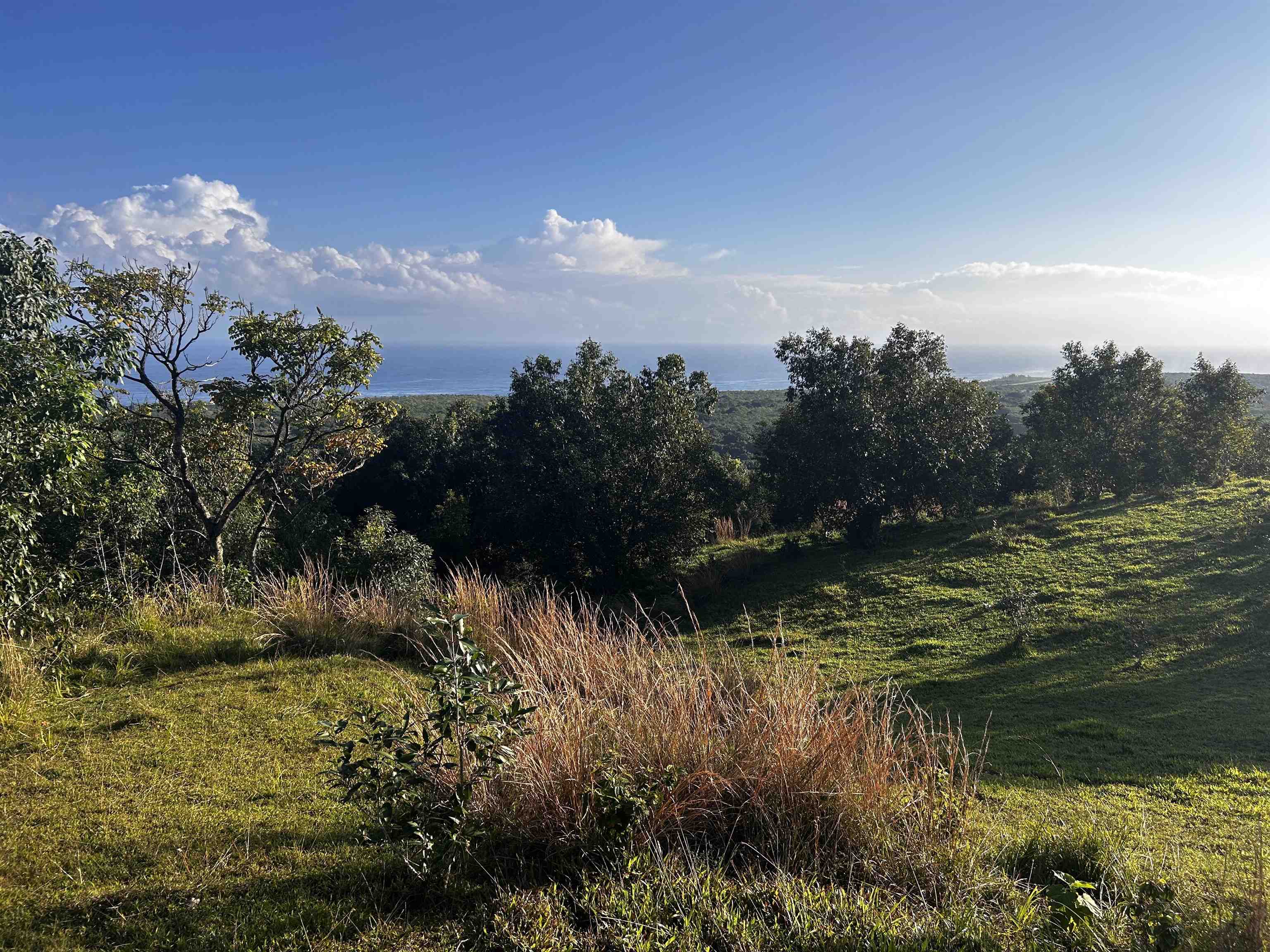 Maui Property Image