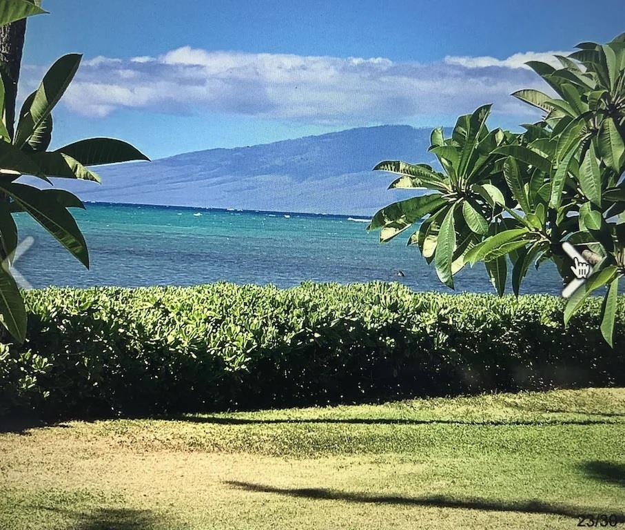 Maui Property Image