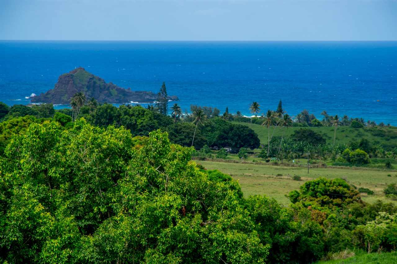 Maui Property Image